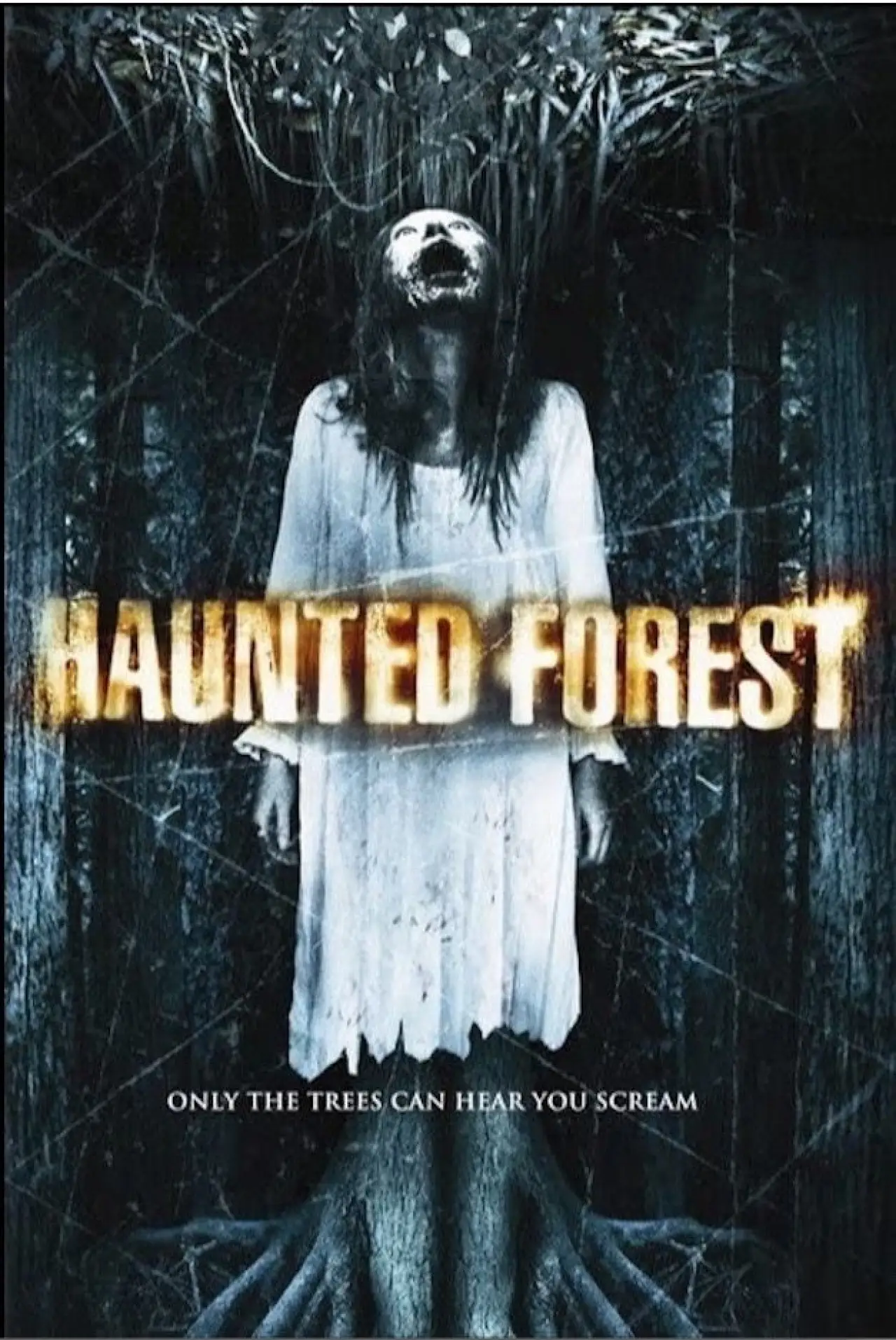 Plakat filmowy "Haunted Forest"