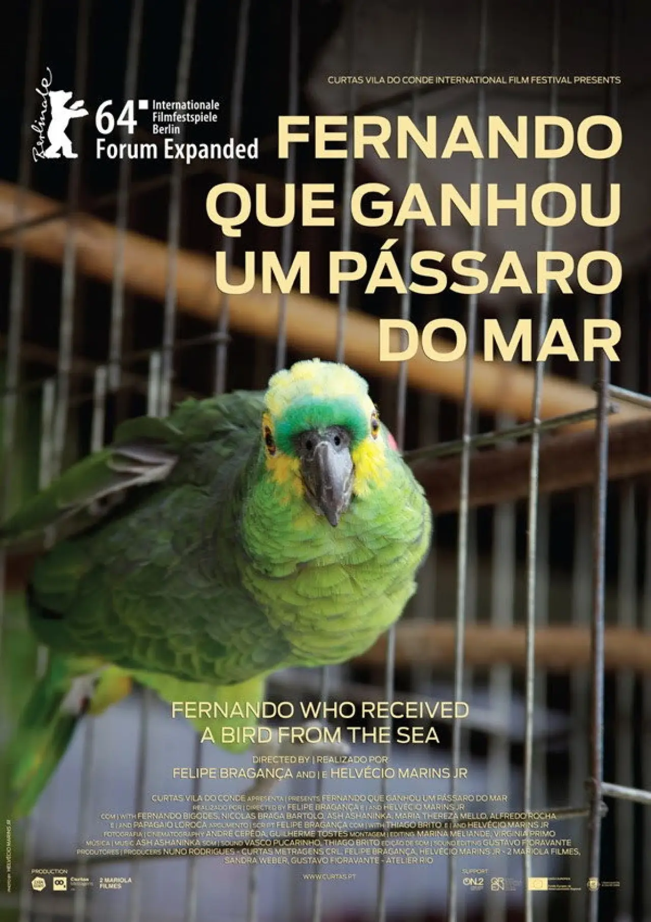 Plakat filmowy "Fernando que Ganhou um Pássaro do Mar"