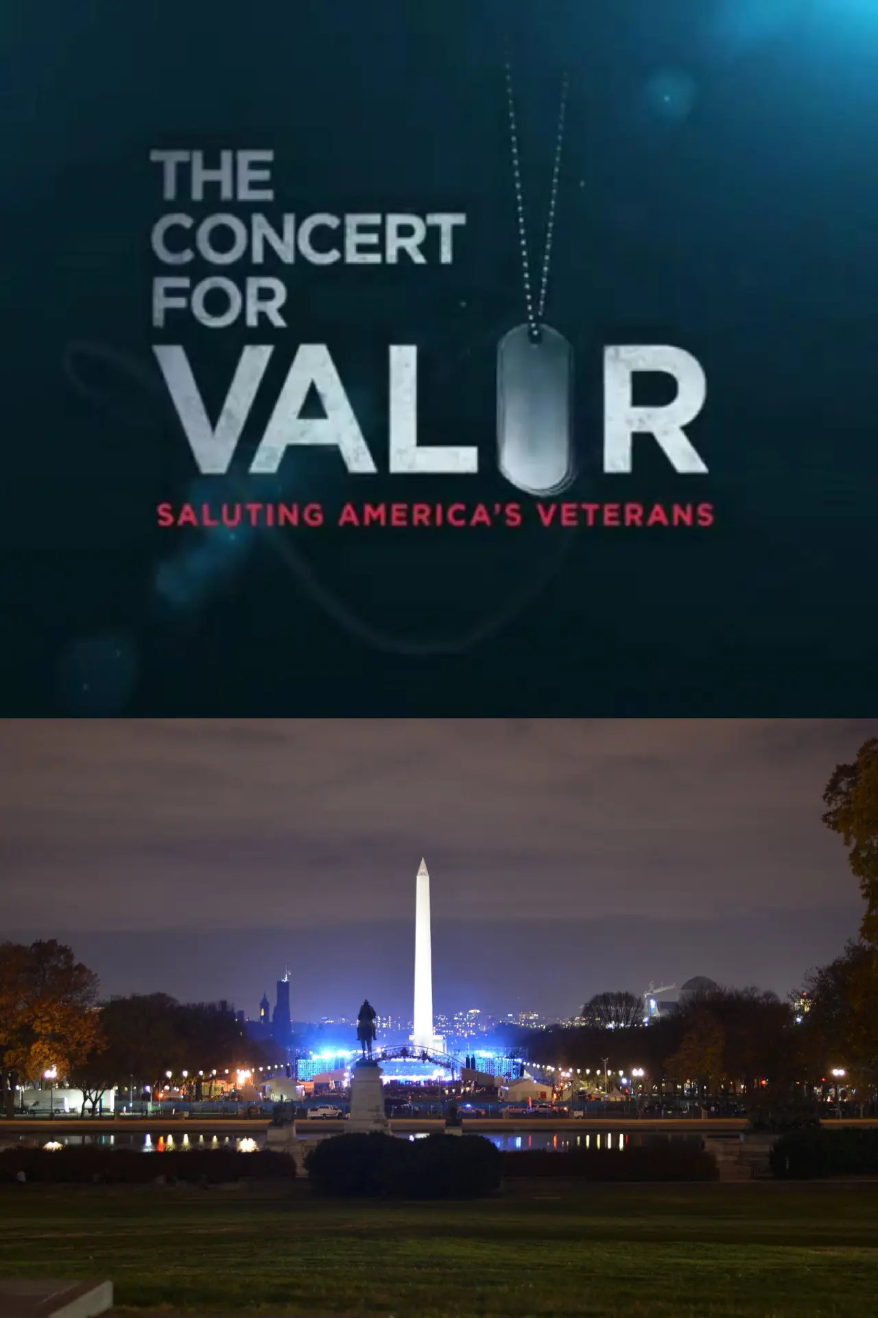 Plakat filmowy "The Concert for Valor"