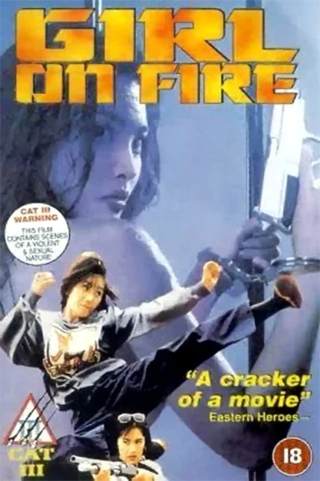 Plakat filmowy "機密檔案之致命誘惑"