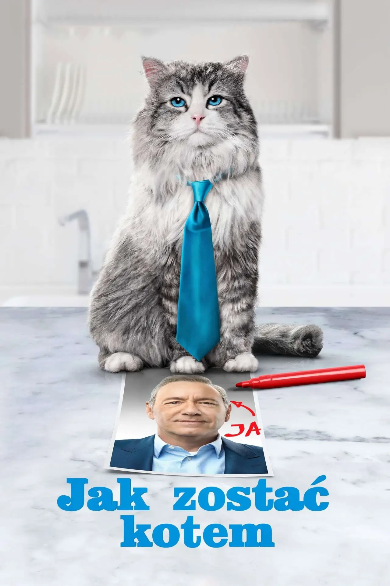 Plakat filmowy "Jak zostać kotem"