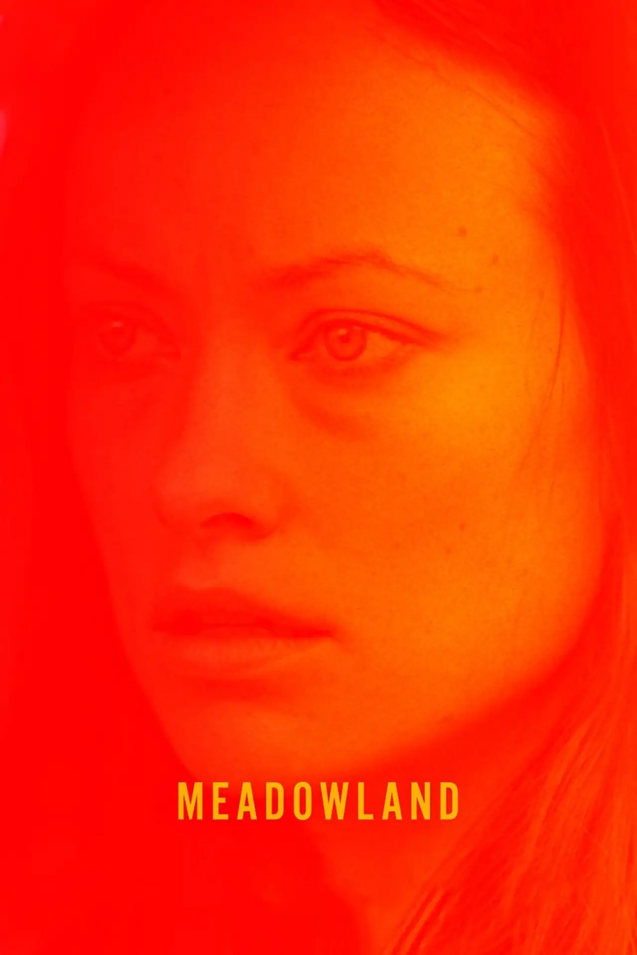 Plakat filmowy "Meadowland"