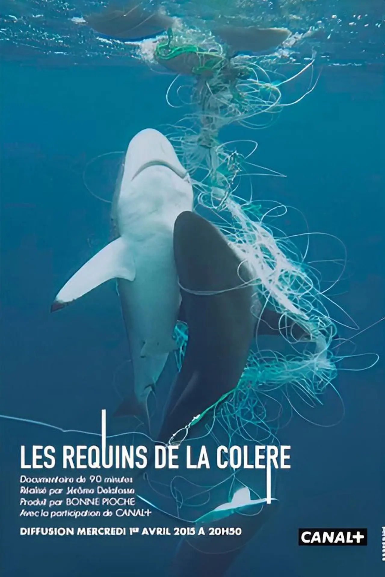 Plakat filmowy "Les Requins de la Colère"
