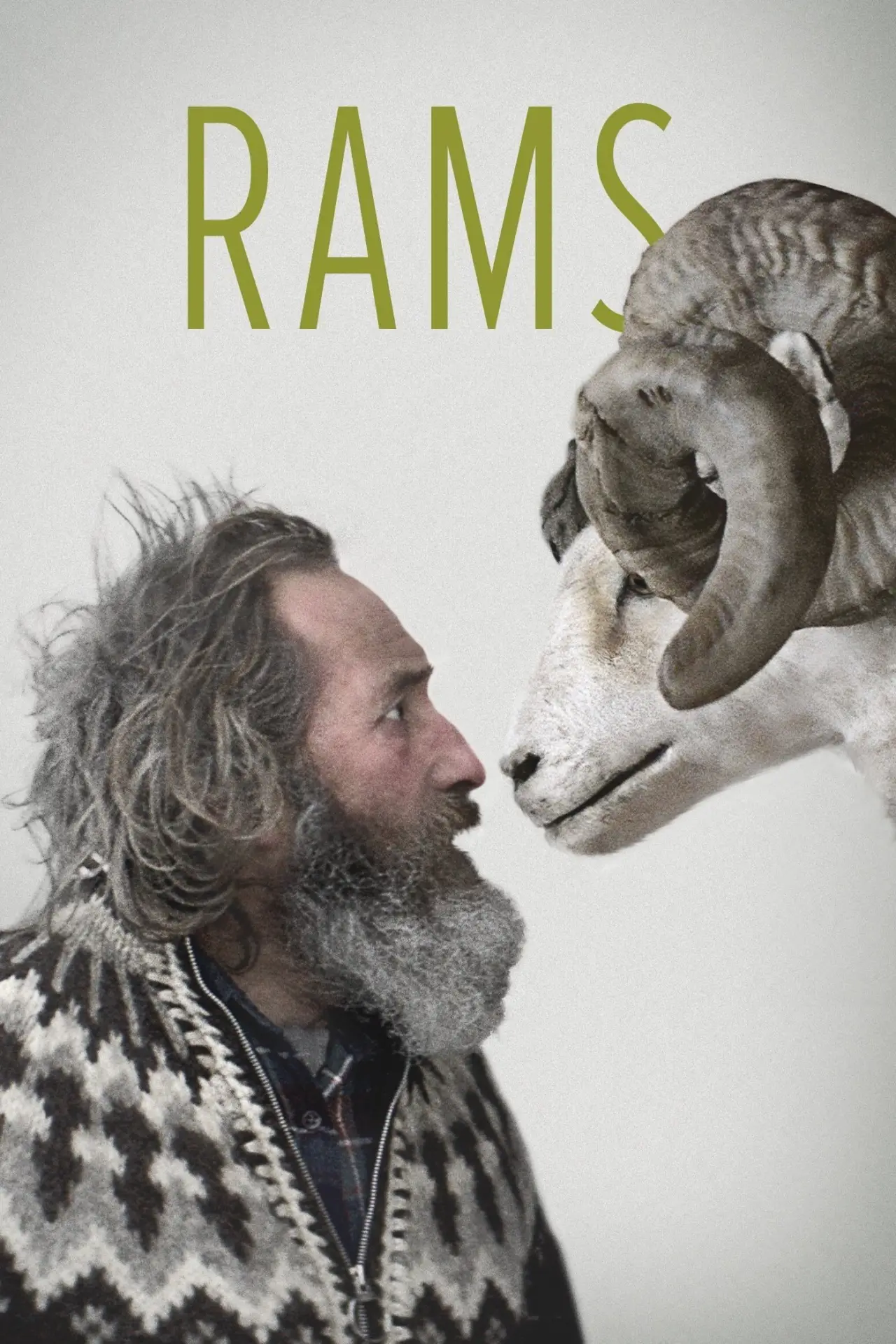 Plakat filmowy "Barany. Islandzka opowieść"