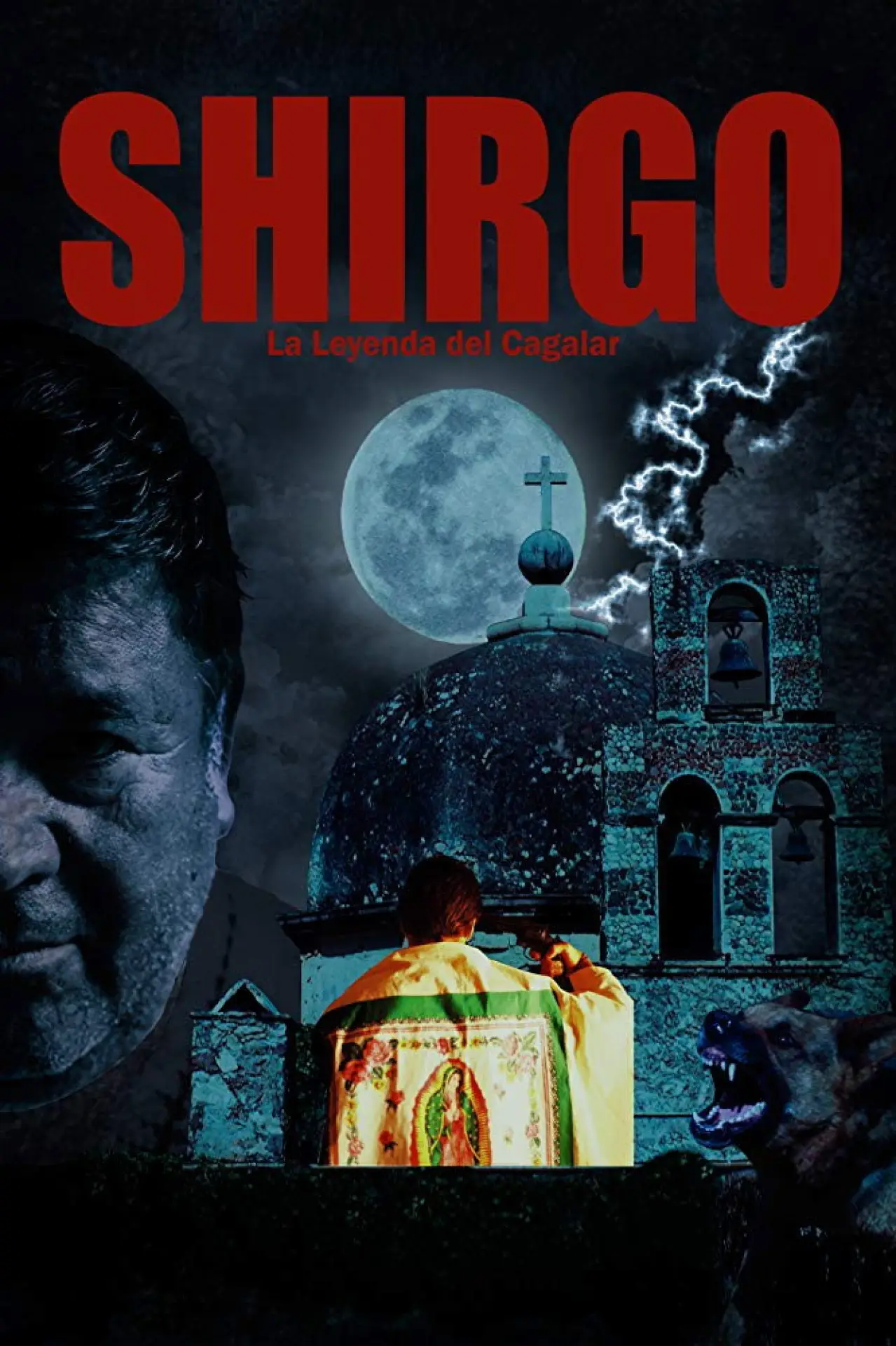 Plakat filmowy "Shirgo"