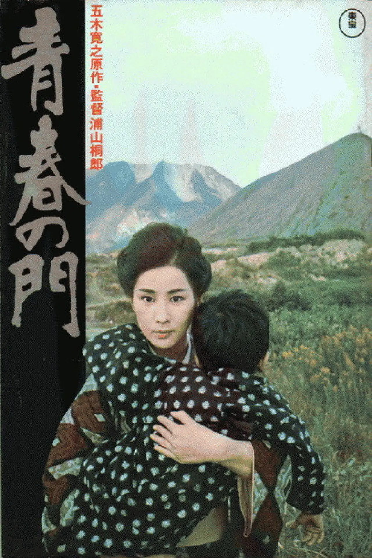 Plakat filmowy "青春の門"