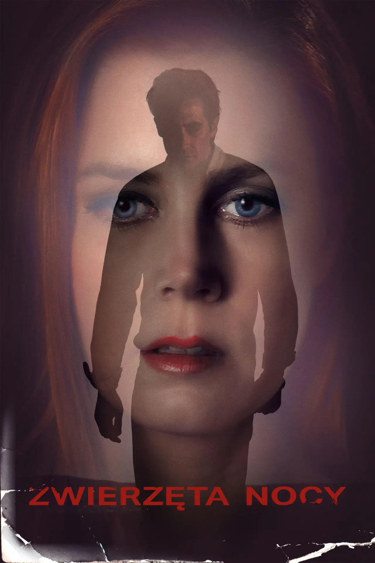 Plakat filmowy "Zwierzęta nocy"