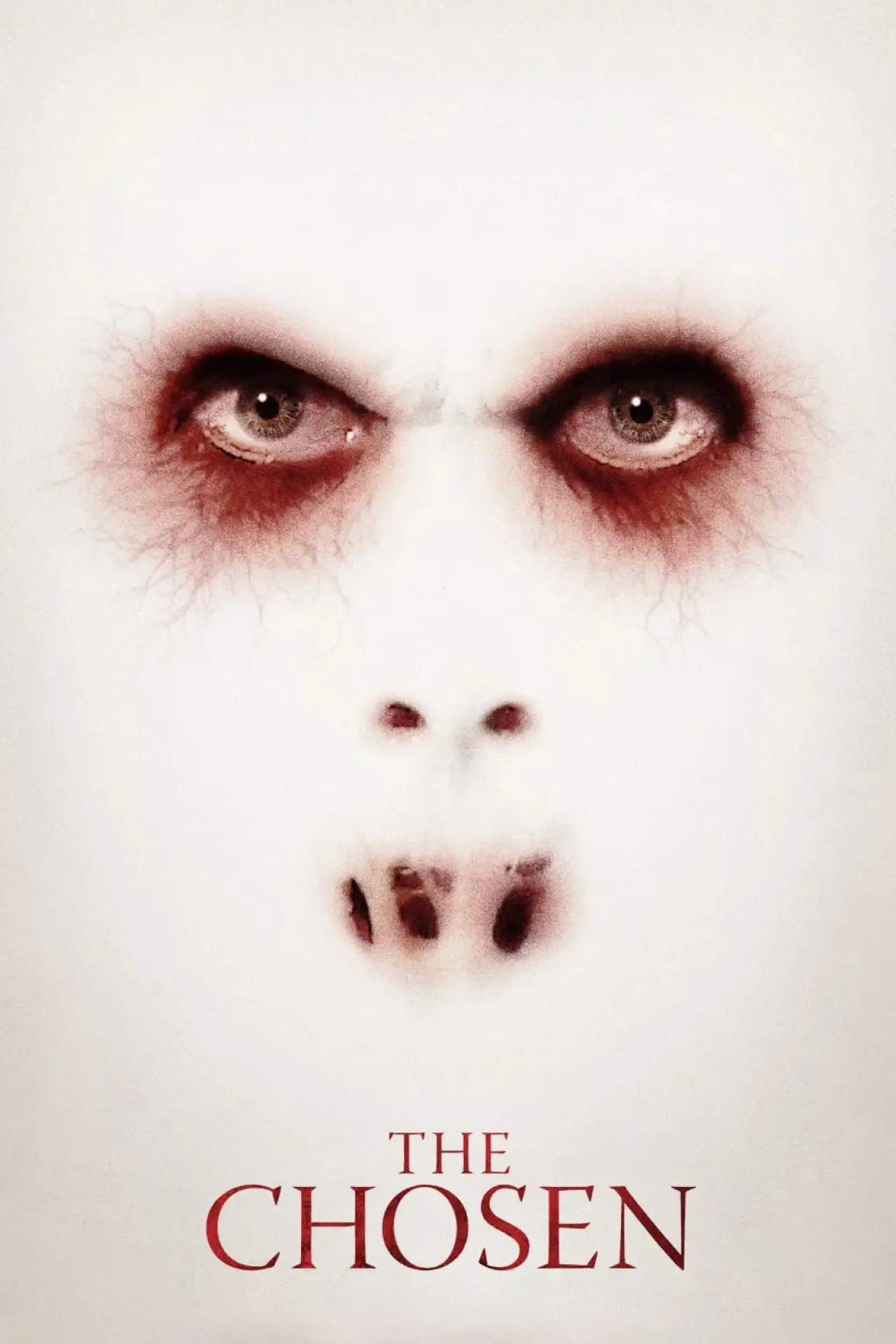 Plakat filmowy "The Chosen"