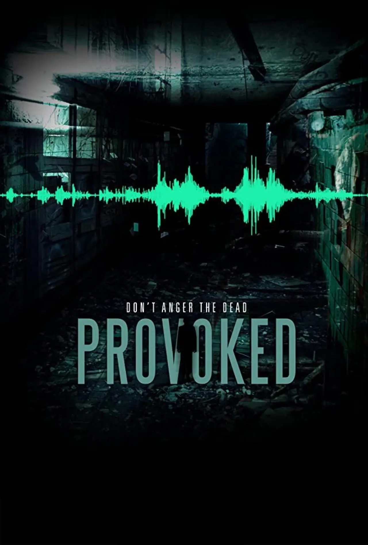 Plakat filmowy "Provoked"