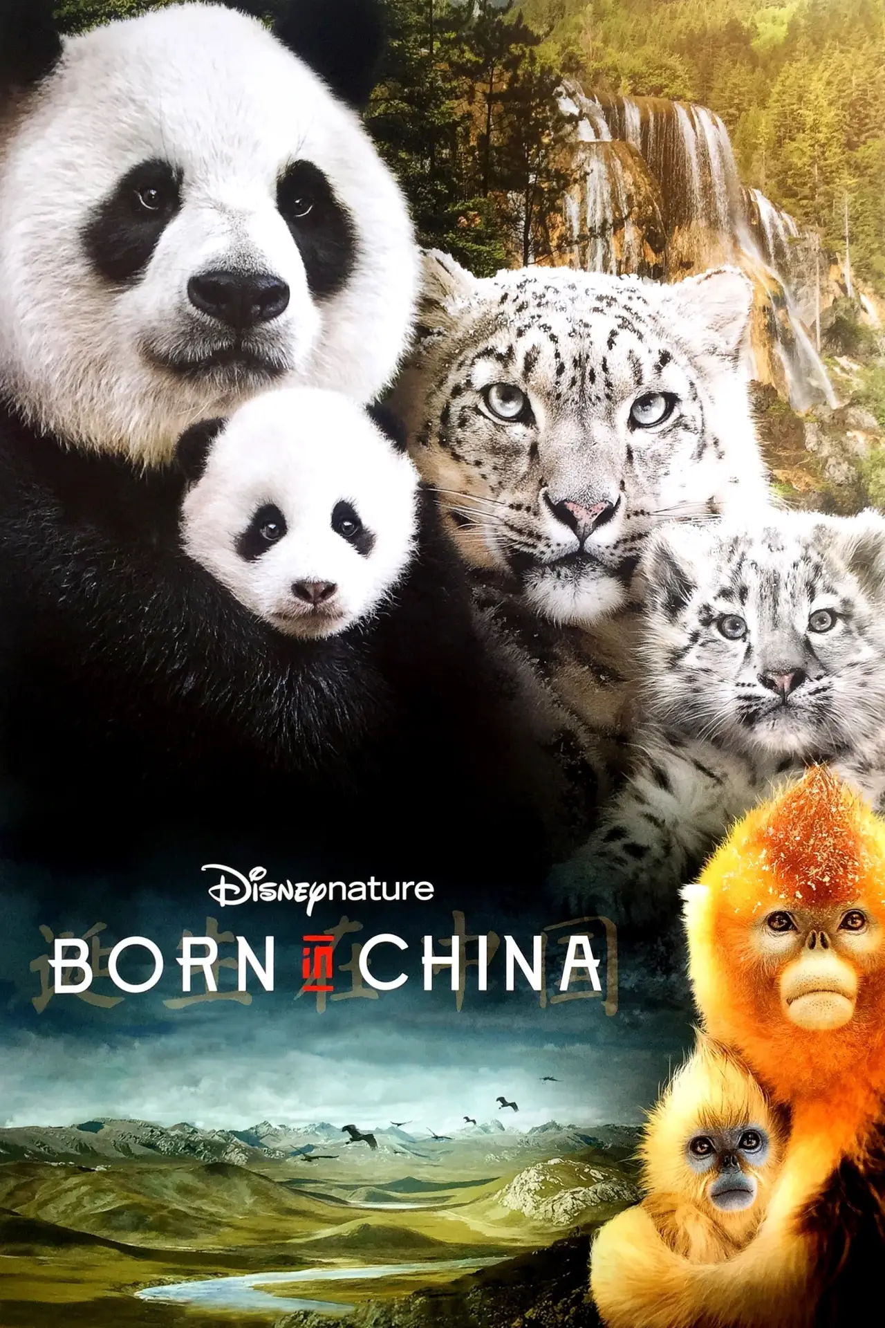 Plakat filmowy "Born in China"