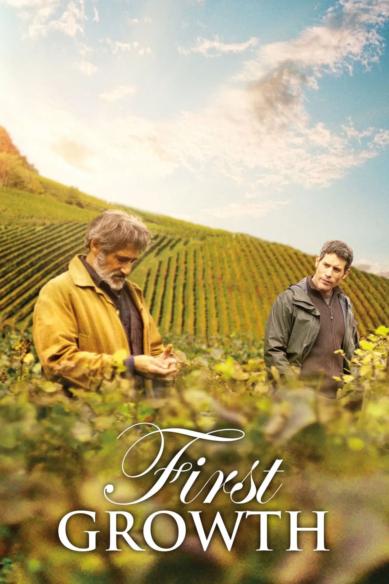 Plakat filmowy "Wielkie wino"