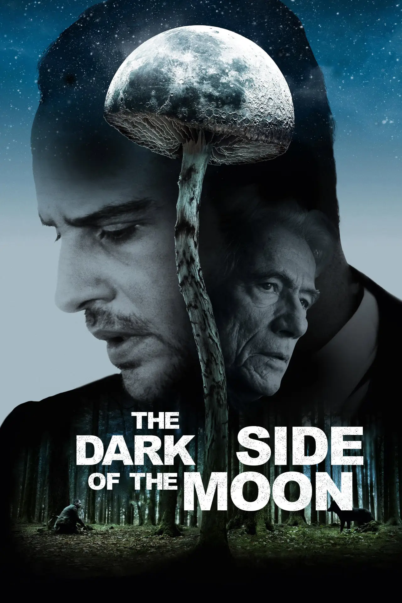 Plakat filmowy "Ciemna strona księżyca"
