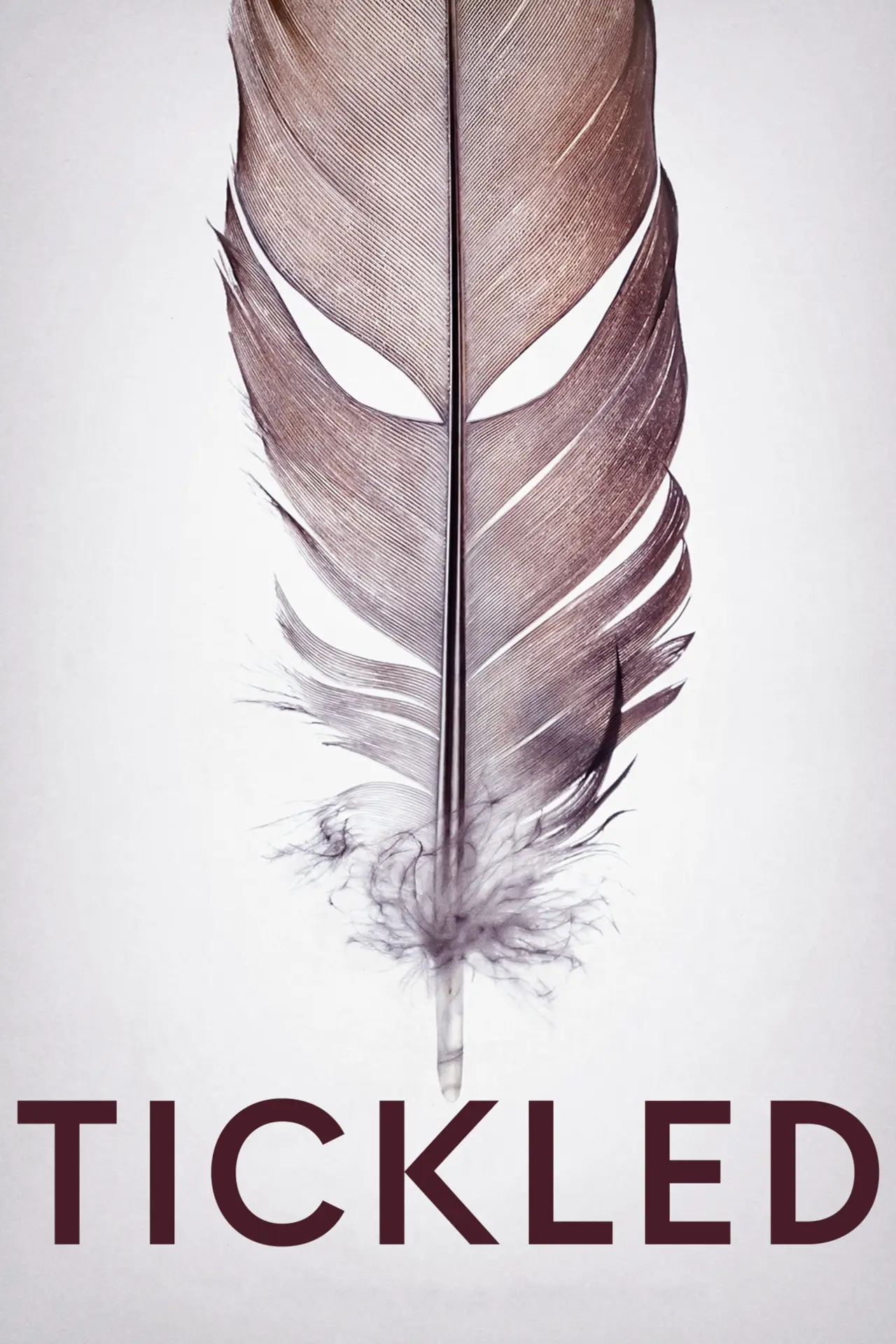 Plakat filmowy "Połaskotany"