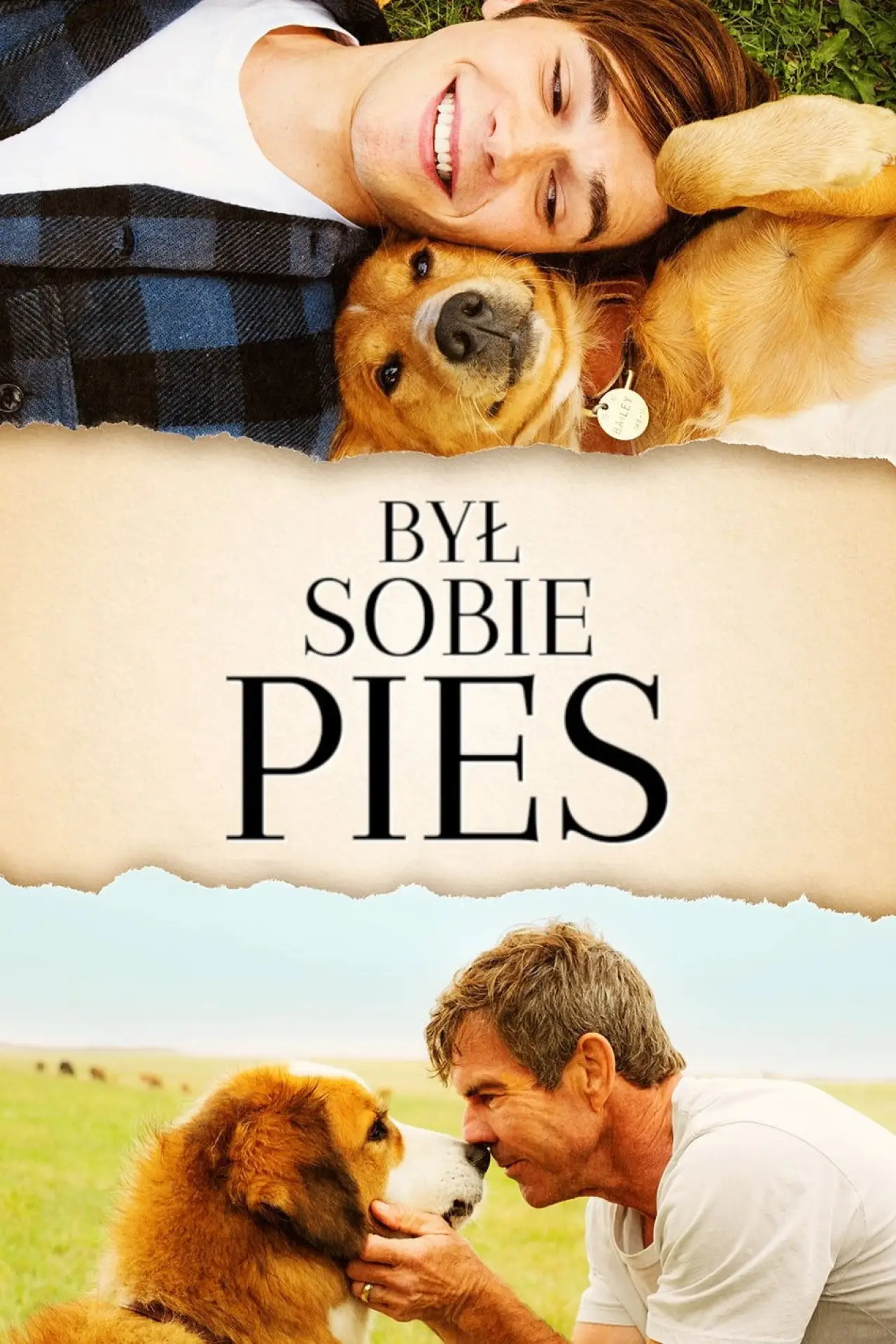 Plakat filmowy "Był Sobie Pies"