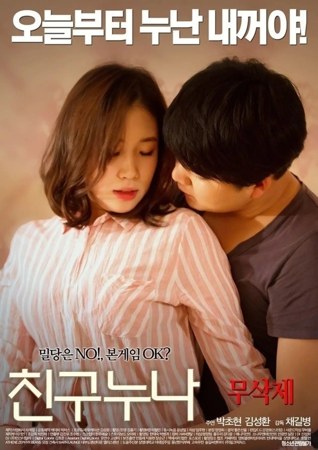 Plakat filmowy "친구누나"
