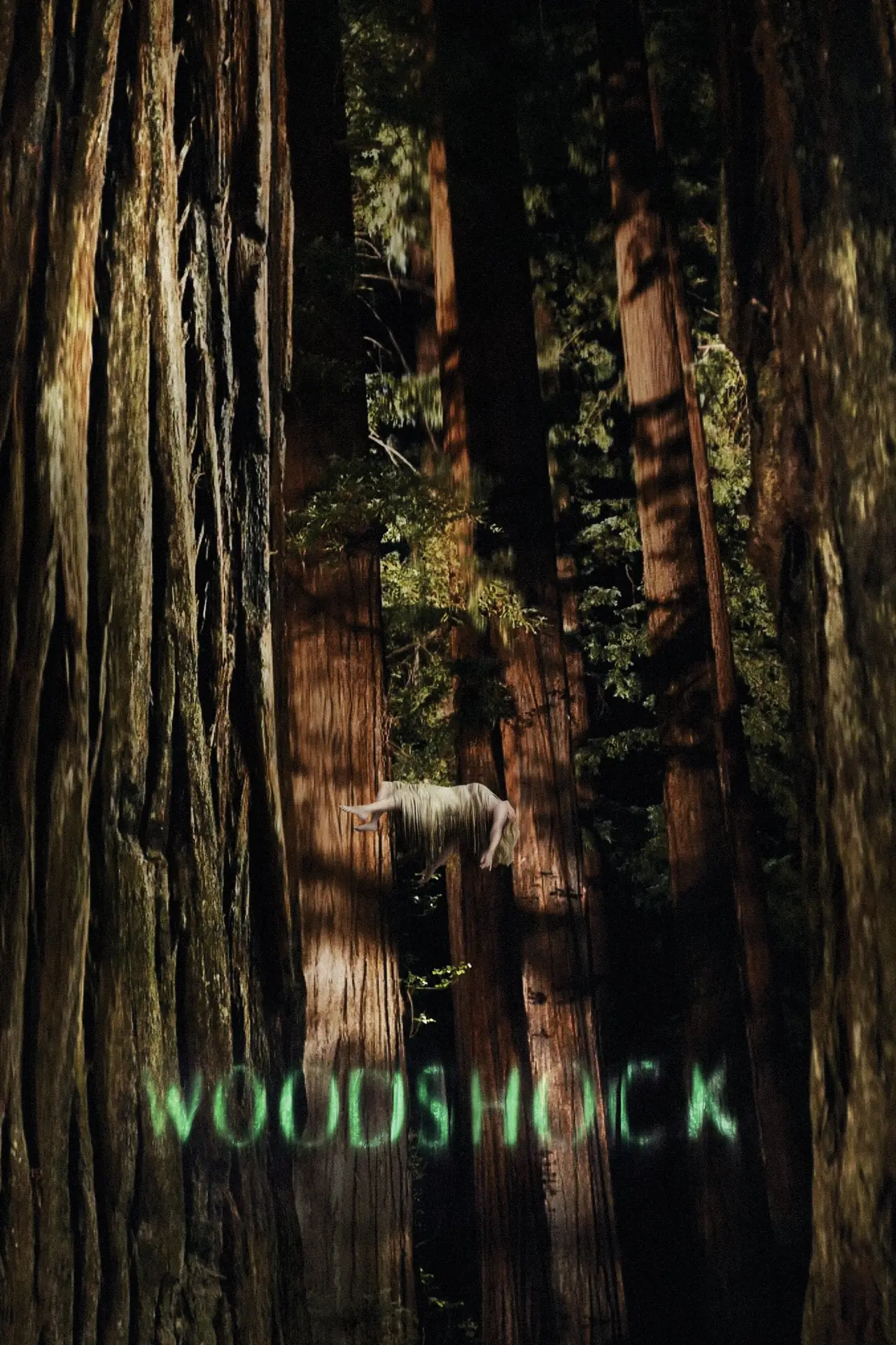 Plakat filmowy "Woodshock"