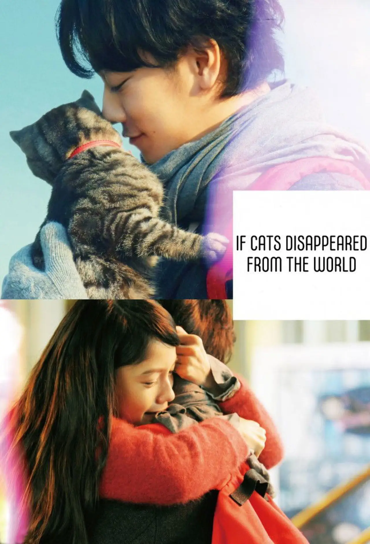 Plakat filmowy "世界から猫が消えたなら"