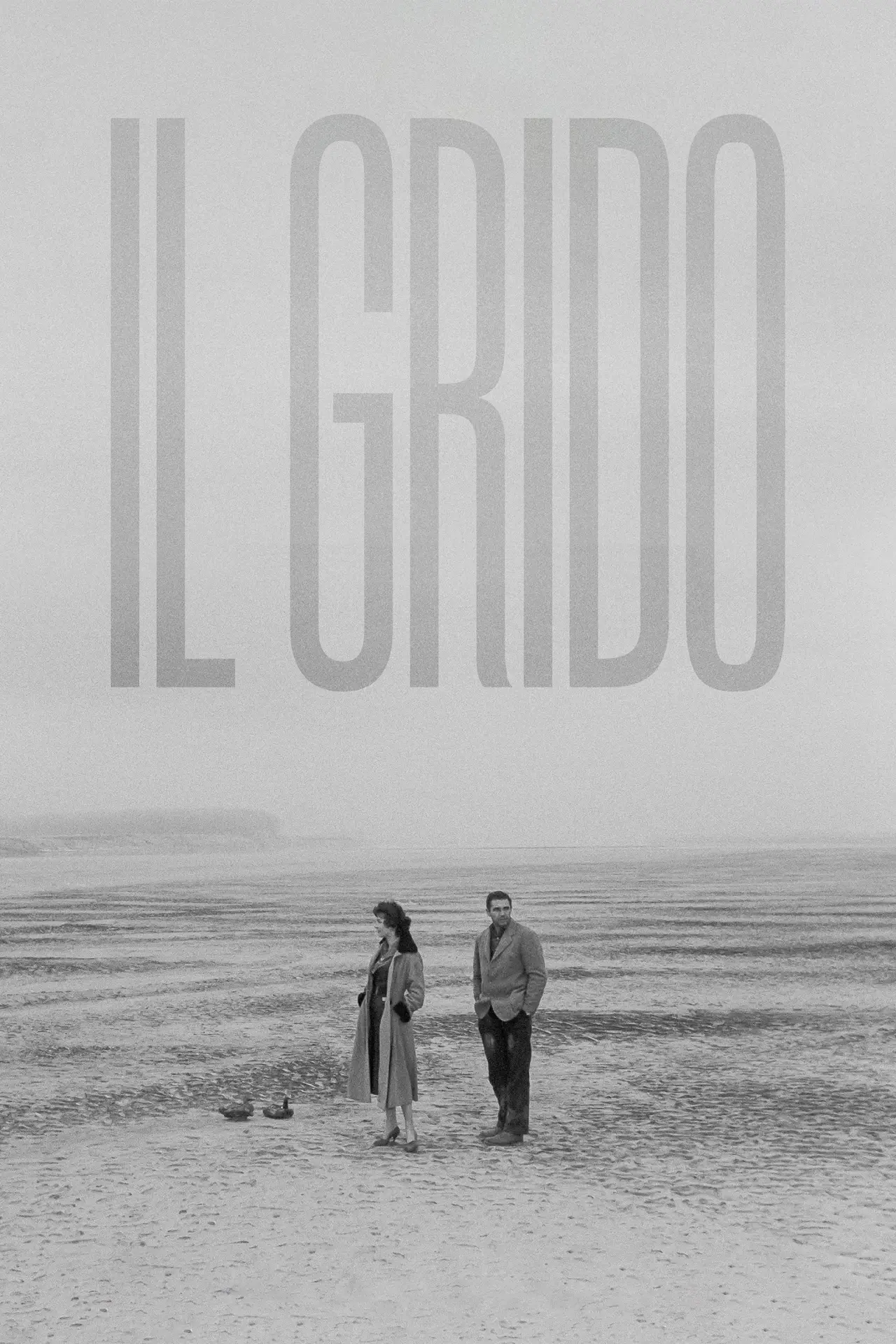 Plakat filmowy "Il Grido"