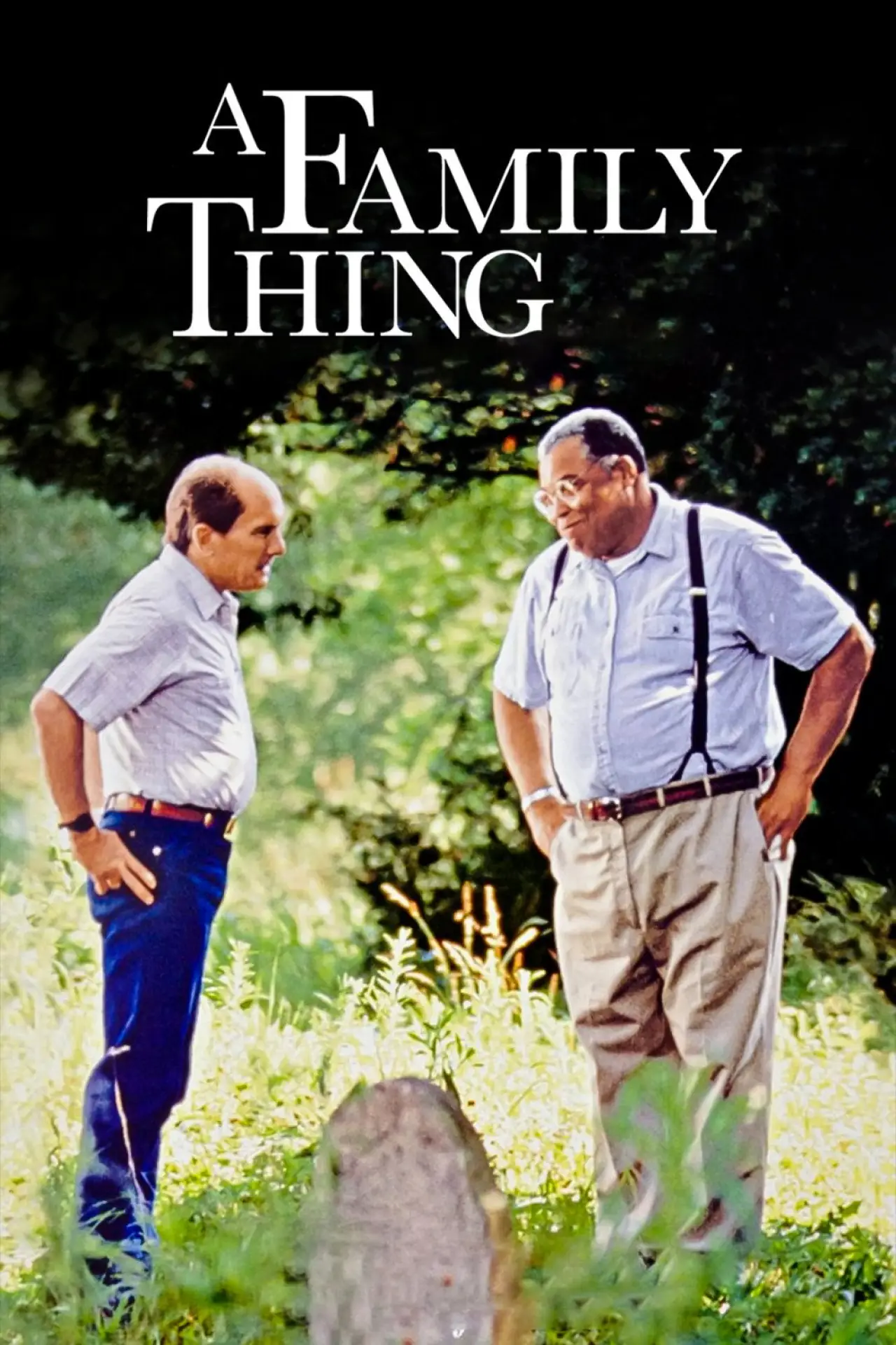 Plakat filmowy "A Family Thing"