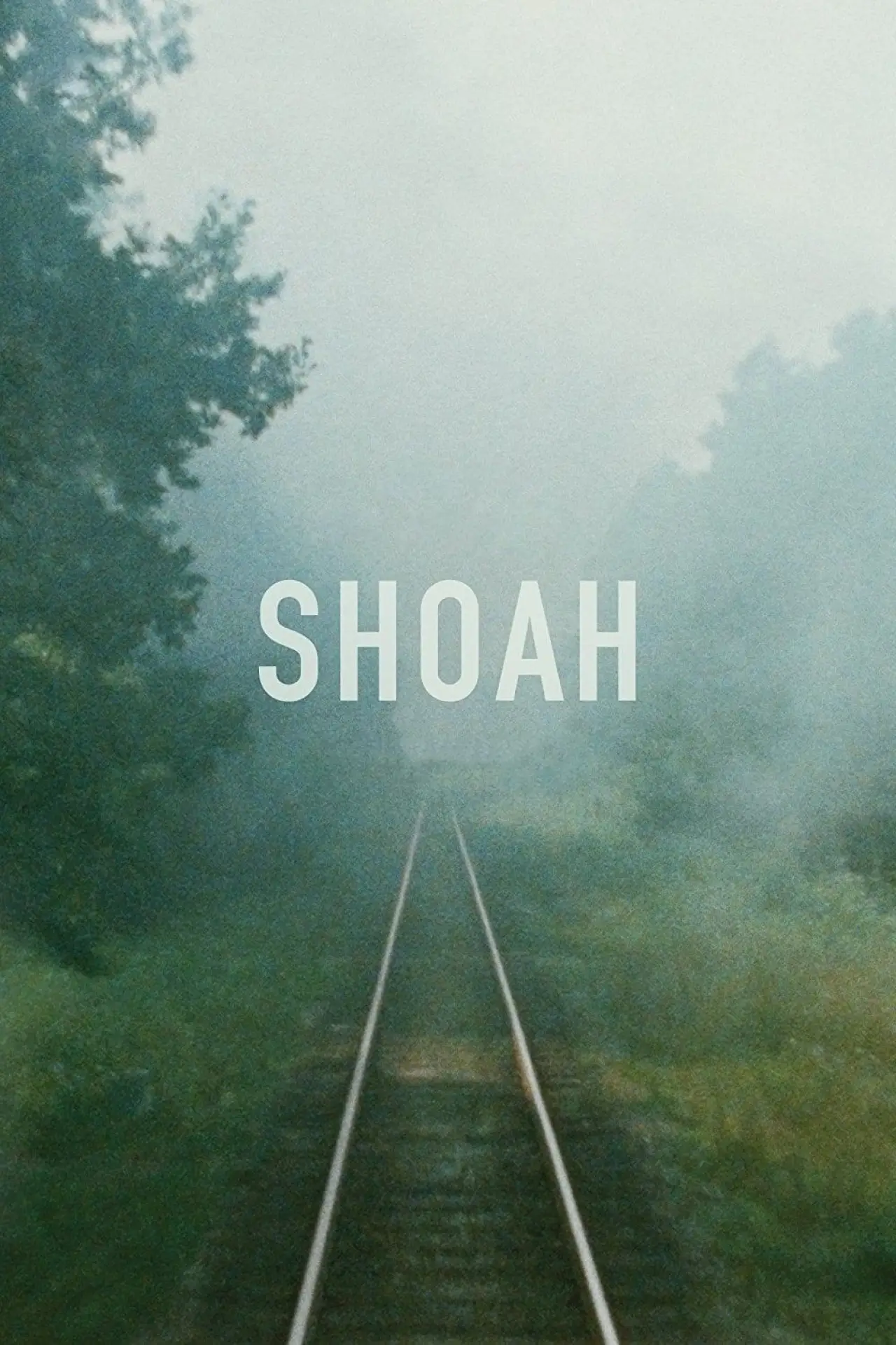 Plakat filmowy "Shoah"
