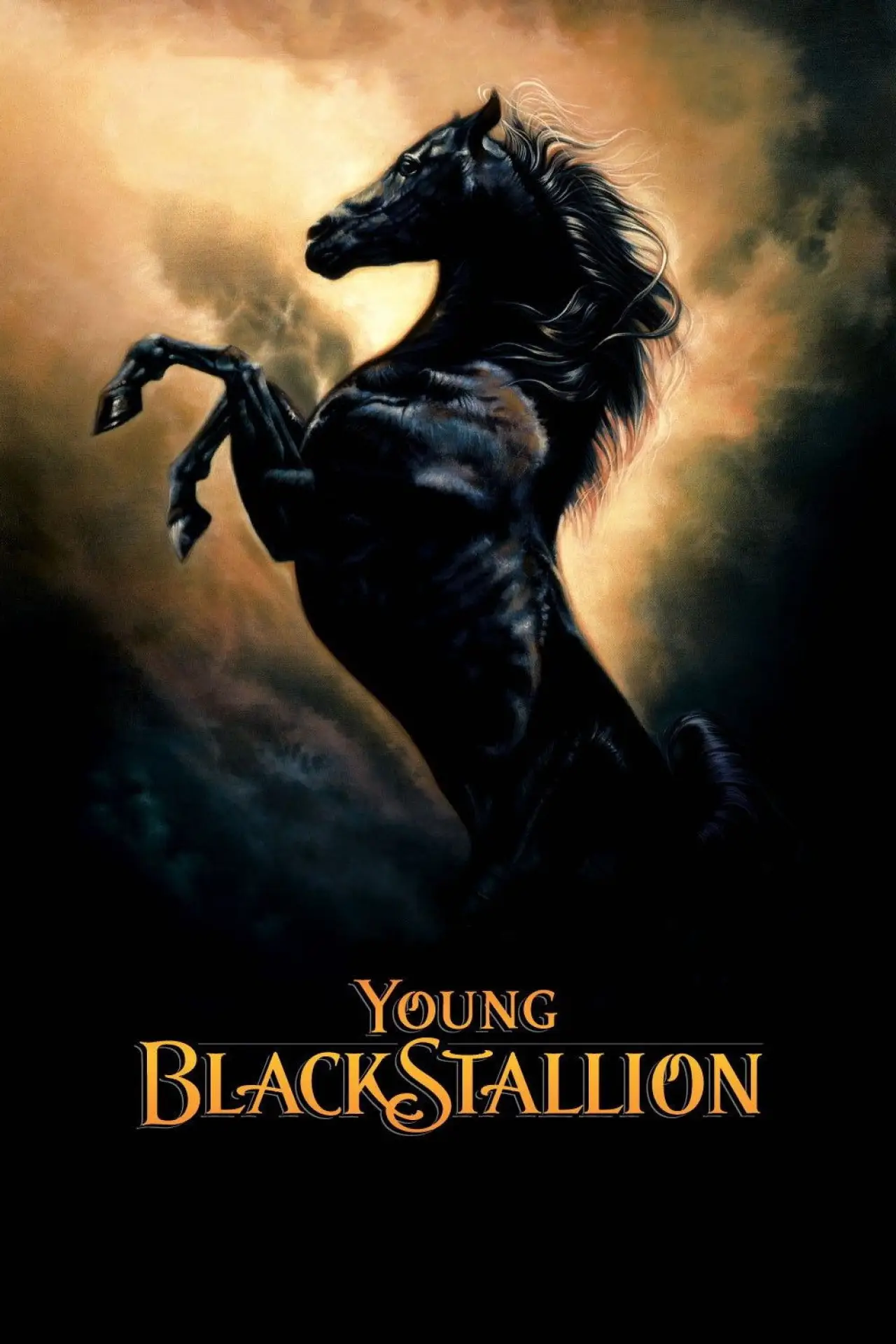 Plakat filmowy "Young Black Stallion"