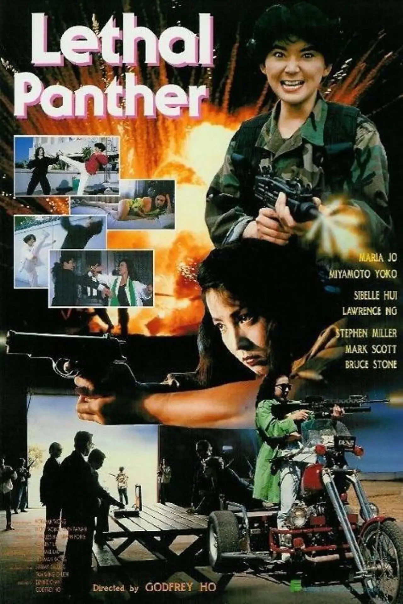 Plakat filmowy "驚天龍虎豹"