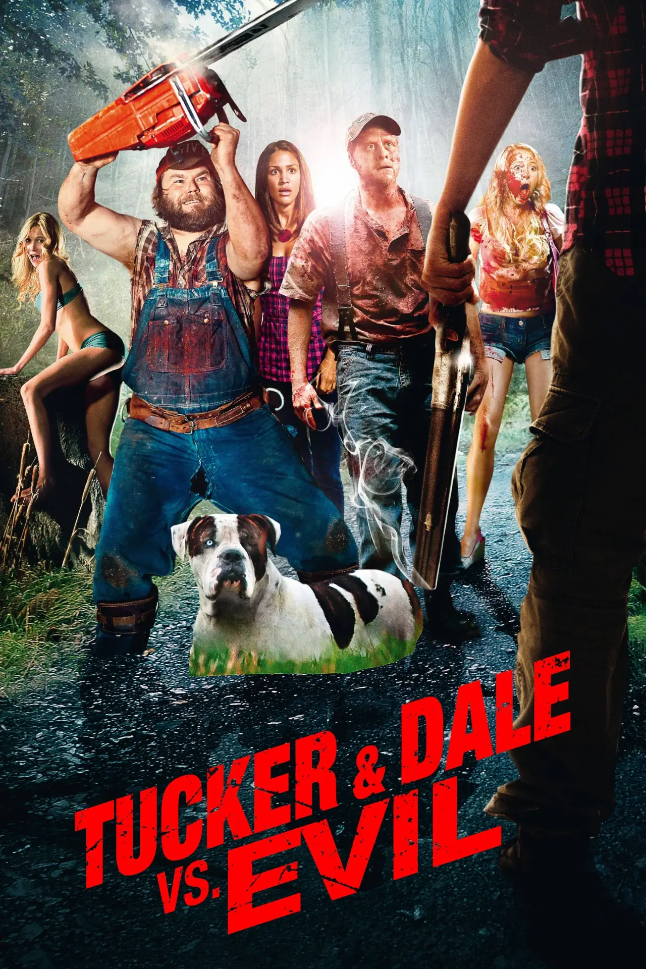 Plakat filmowy "Porąbani"