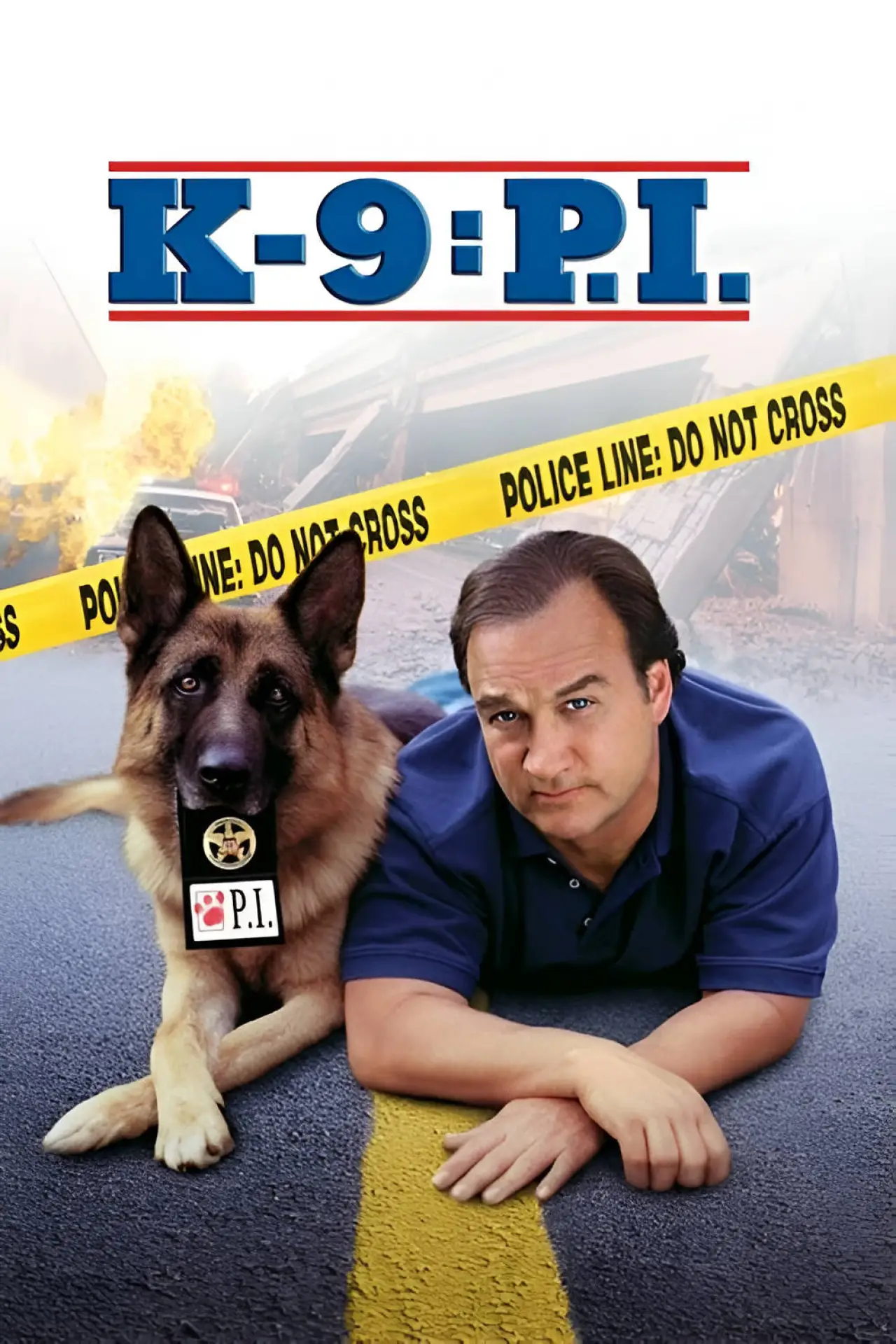 Plakat filmowy "K-9 - Prywatny detektyw"