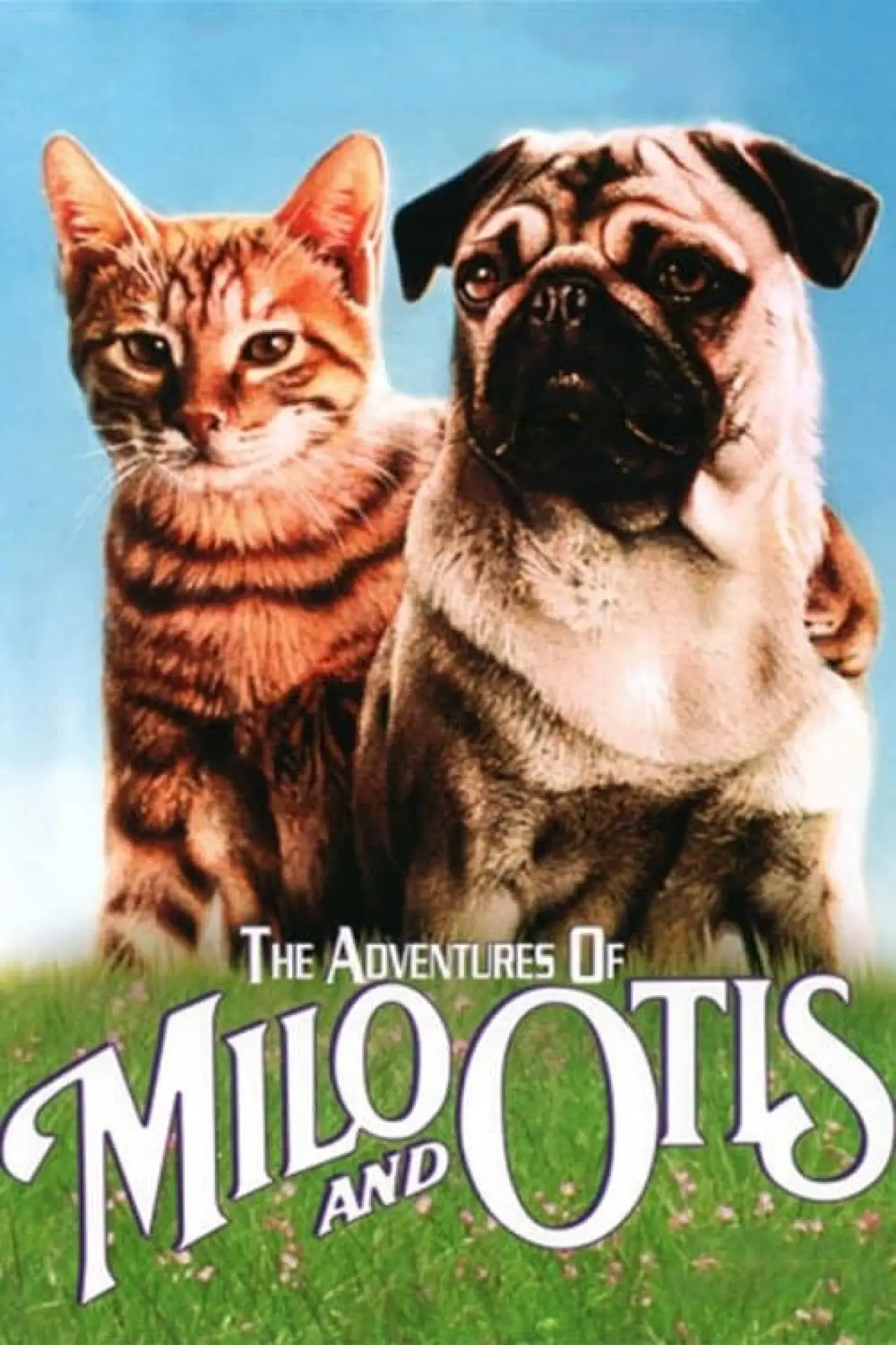 Plakat filmowy "子猫物語"