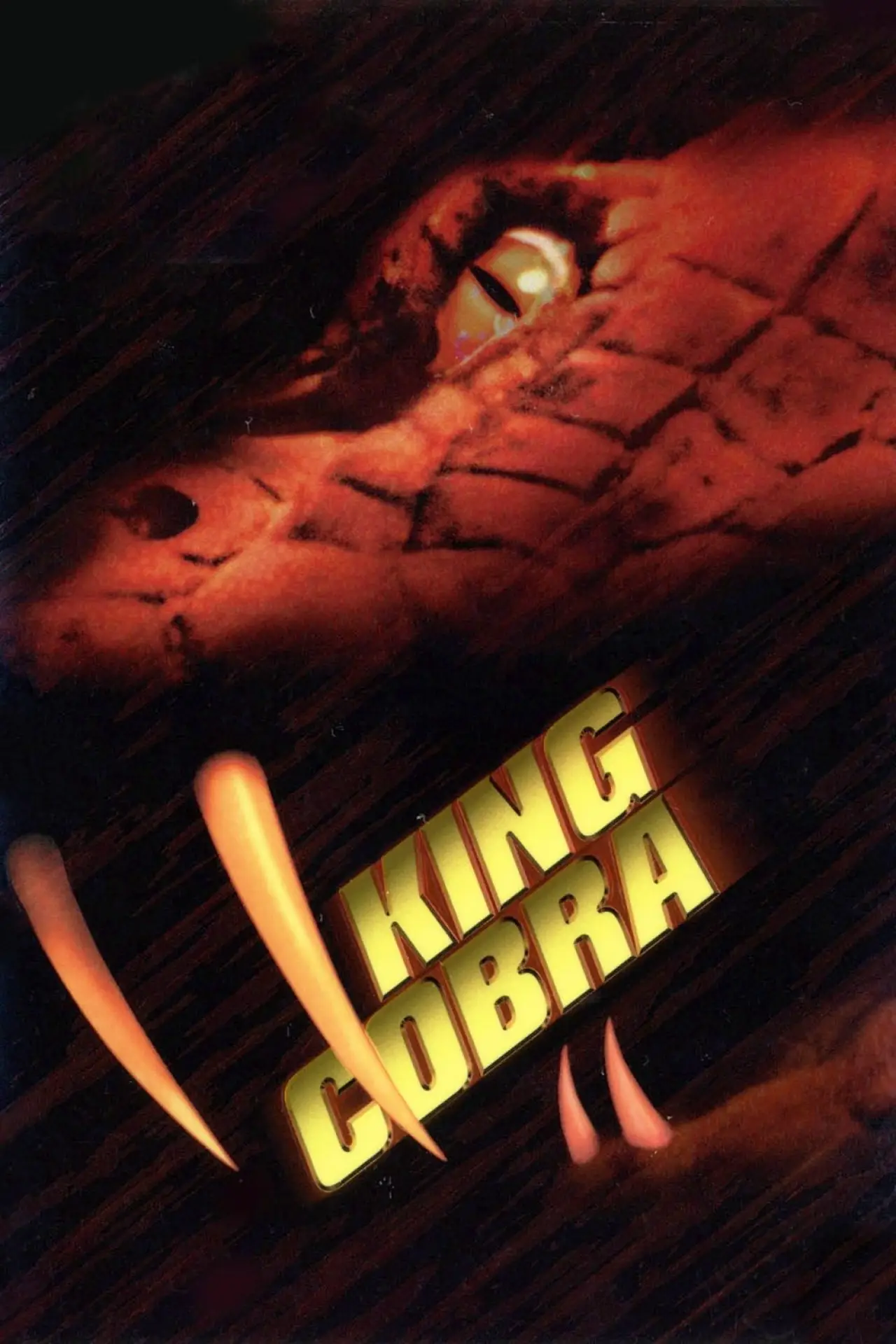 Plakat filmowy "Kobra królewska"