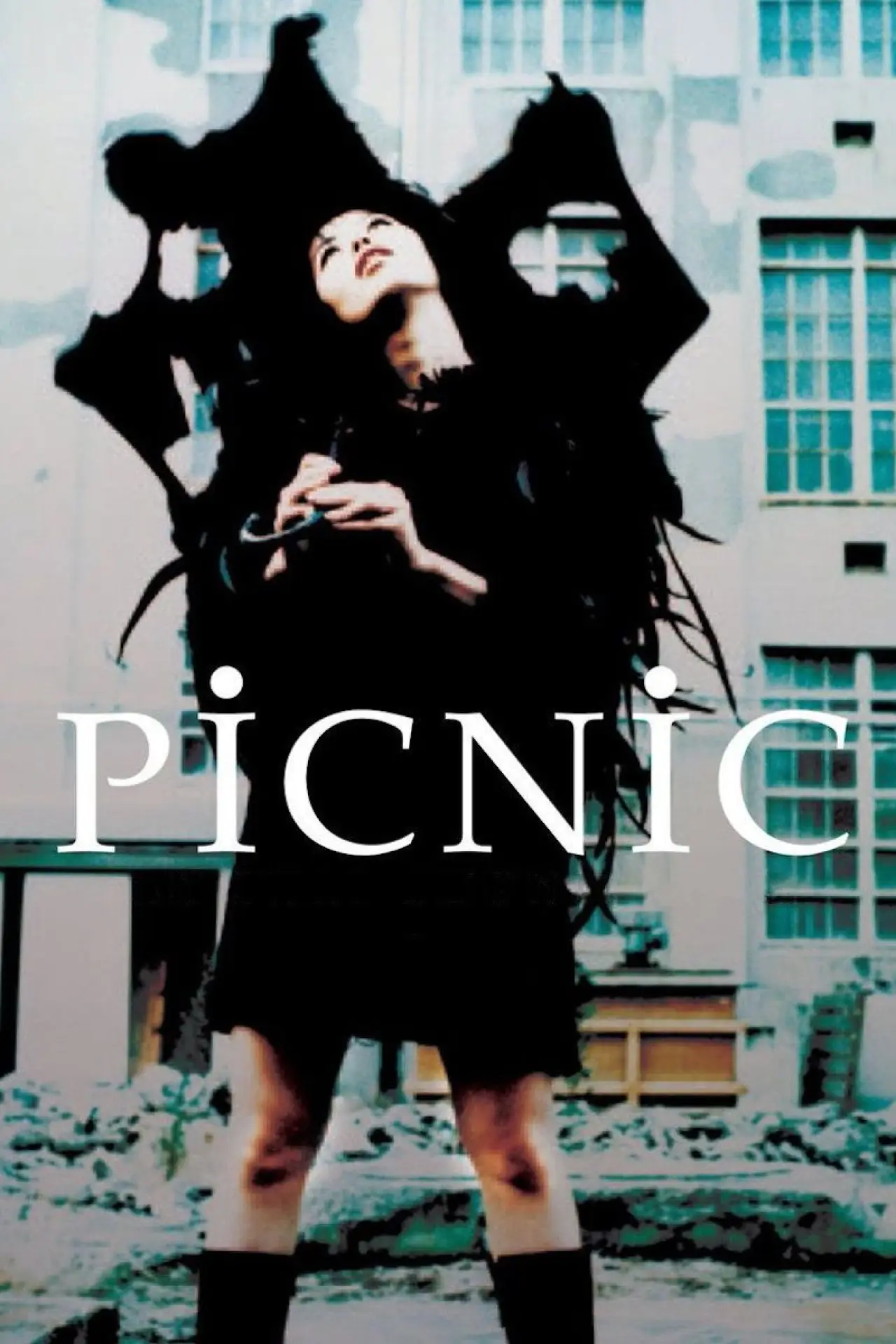 Plakat filmowy "PiCNiC"