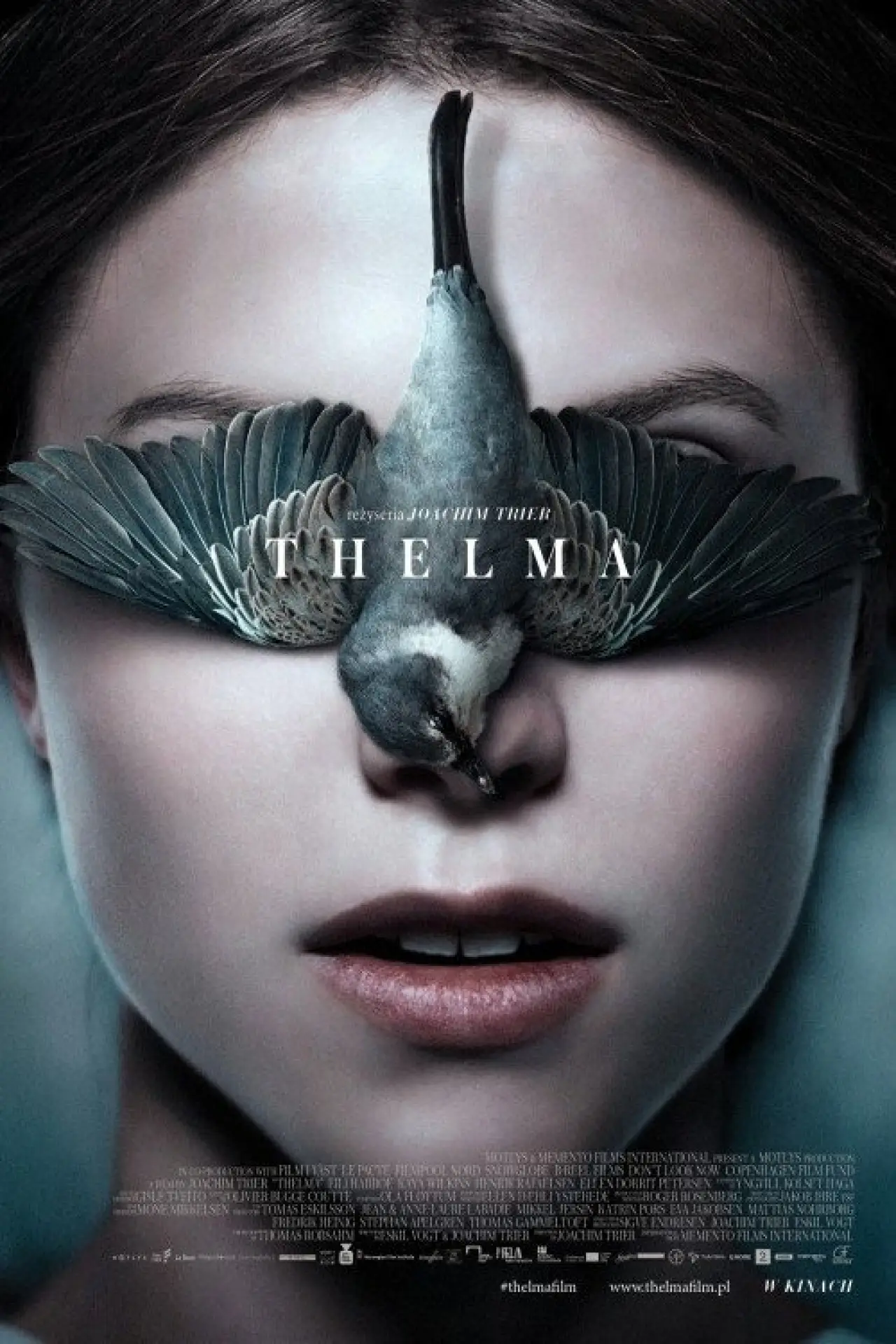 Plakat filmowy "Thelma"