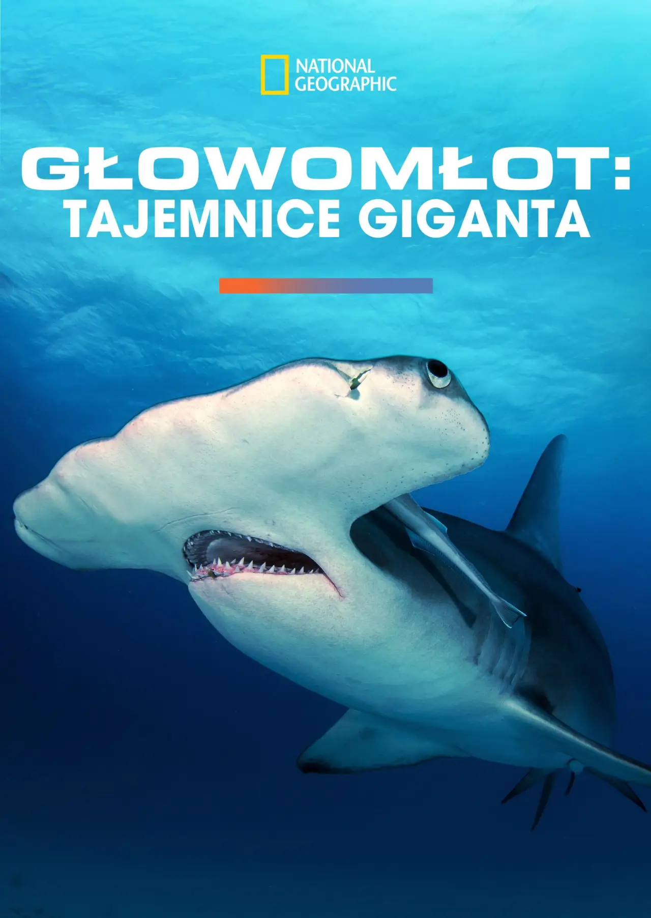 Plakat filmowy "Głowomłot olbrzymi"