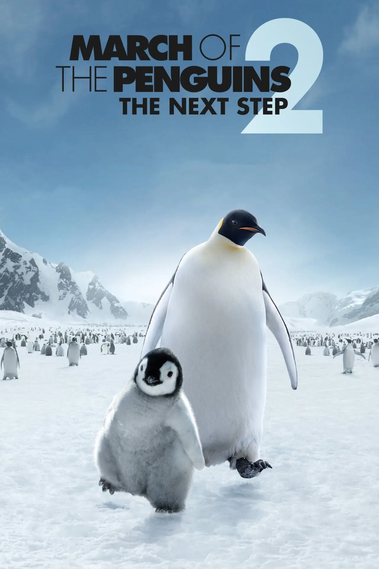 Plakat filmowy "L