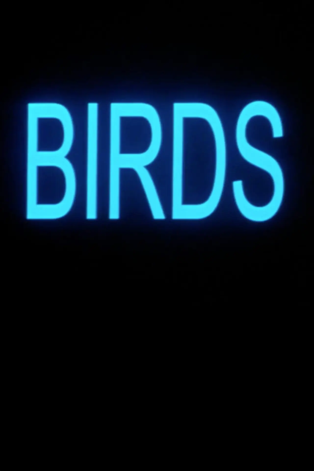 Plakat filmowy "Birds"