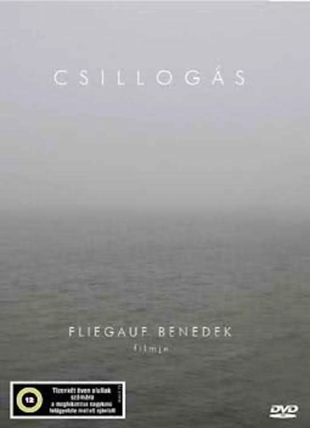 Plakat filmowy "Csillogás"