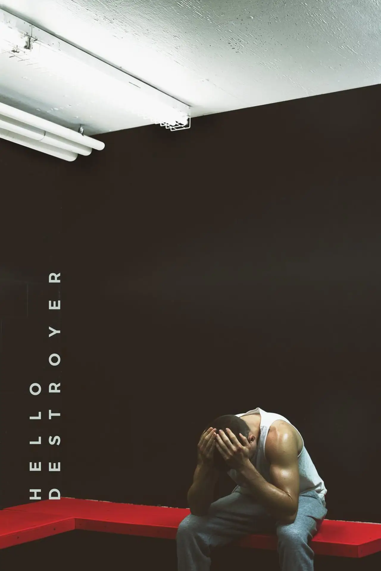 Plakat filmowy "Hello Destroyer"