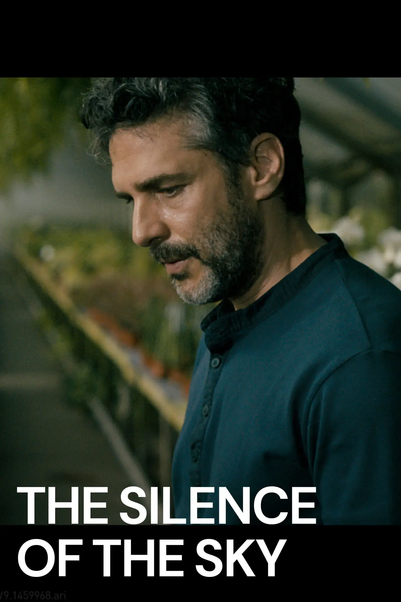 Plakat filmowy "Cisza niebios"