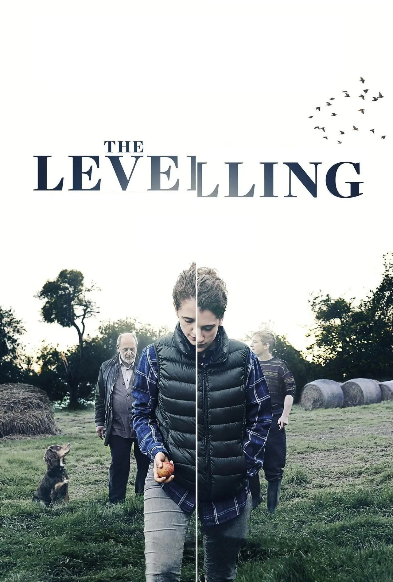 Plakat filmowy "The Levelling"