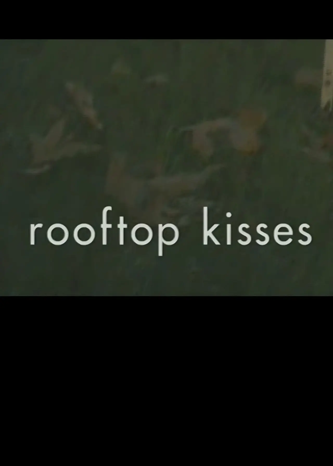 Plakat filmowy "Rooftop Kisses"
