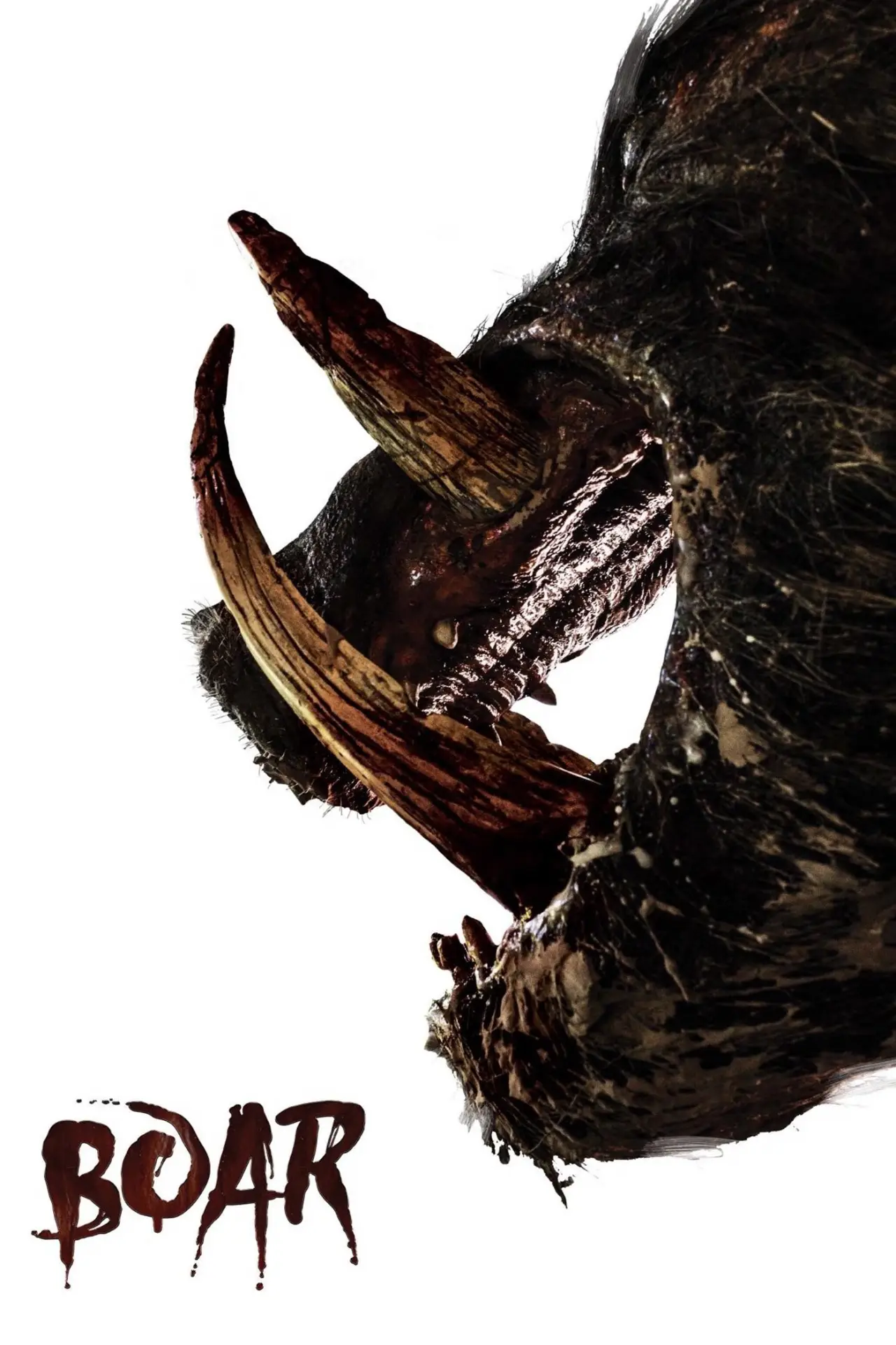 Plakat filmowy "Dzik"