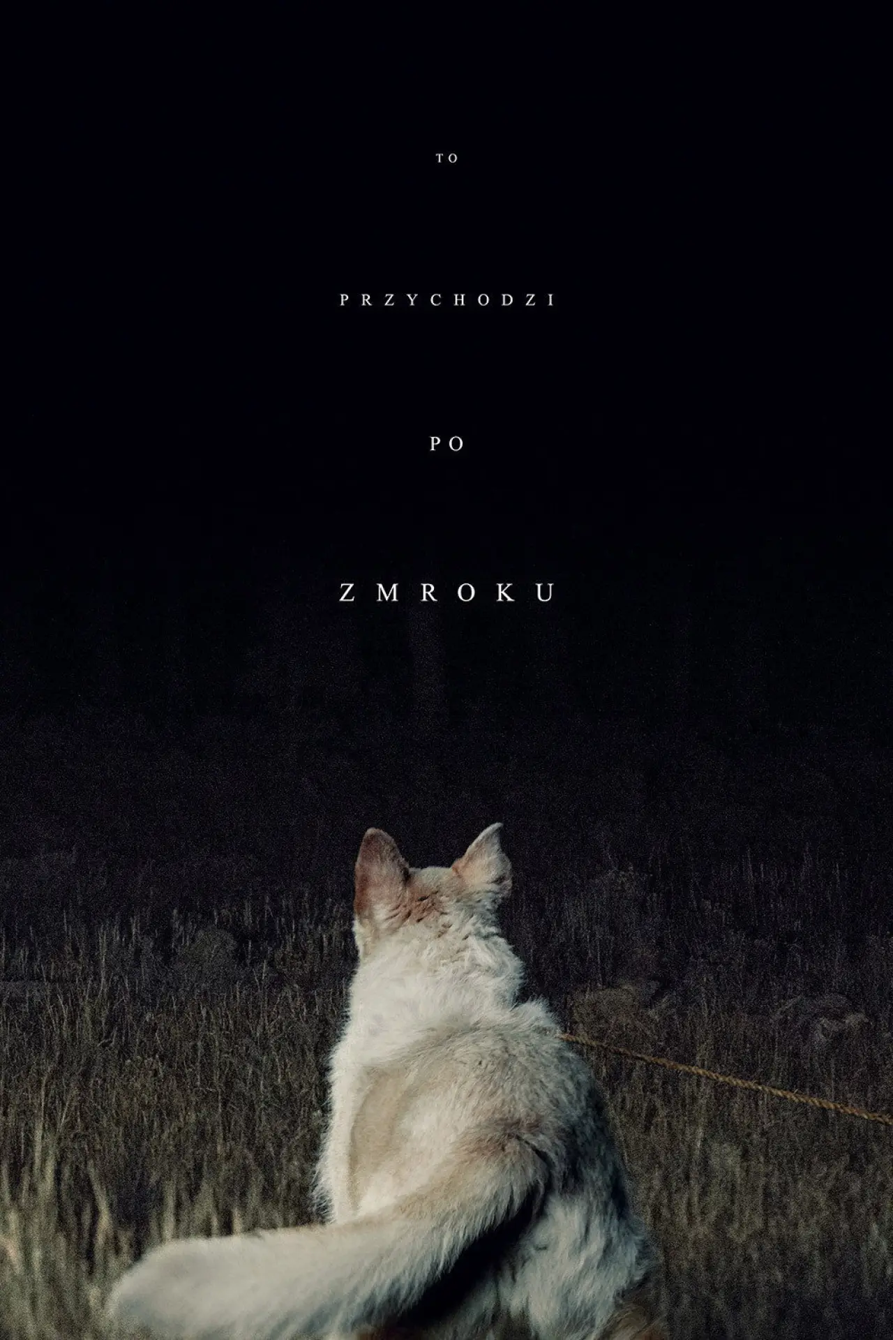 Plakat filmowy "To przychodzi po zmroku"