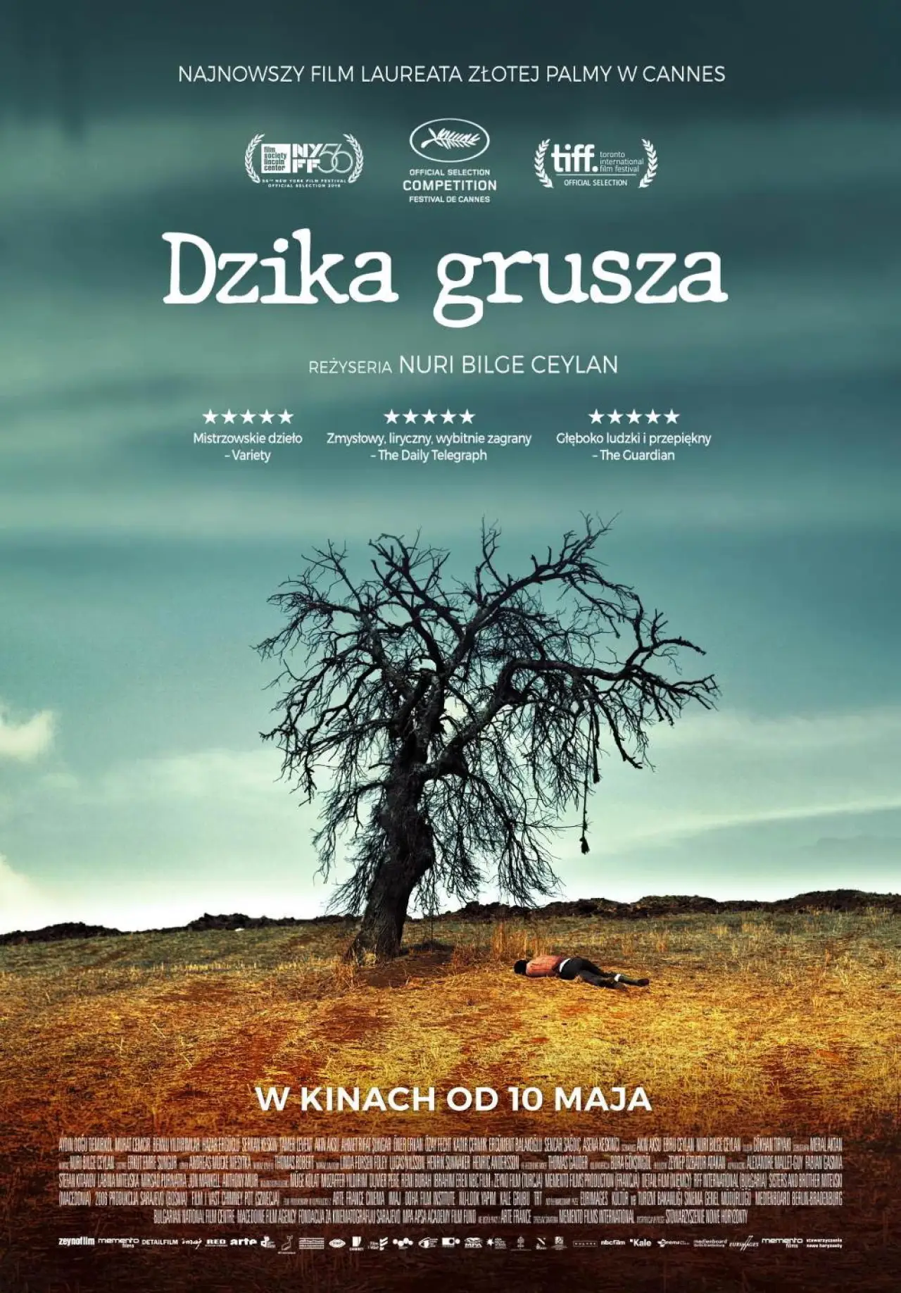 Plakat filmowy "Dzika grusza"