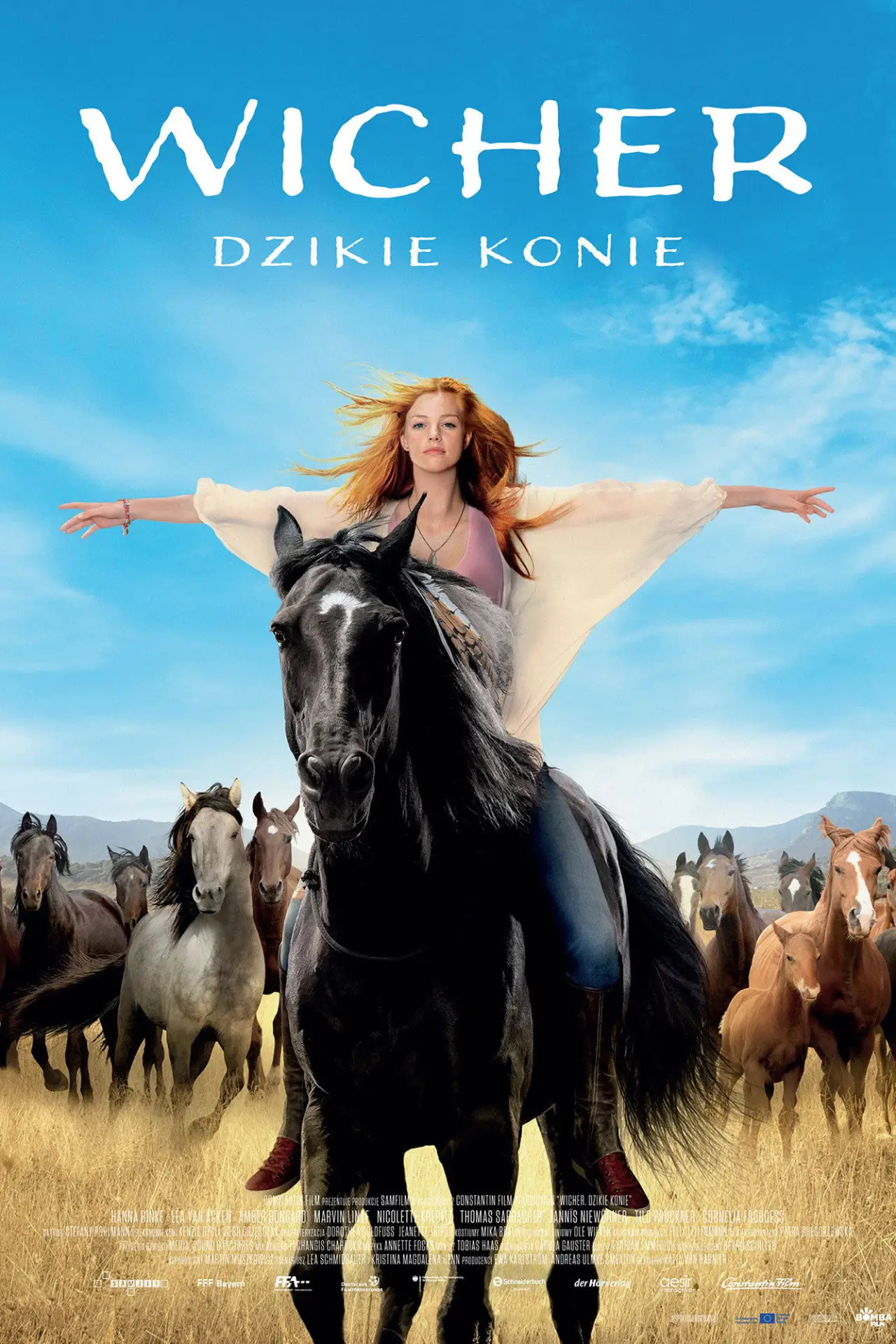 Plakat filmowy "Wicher – dzikie konie"