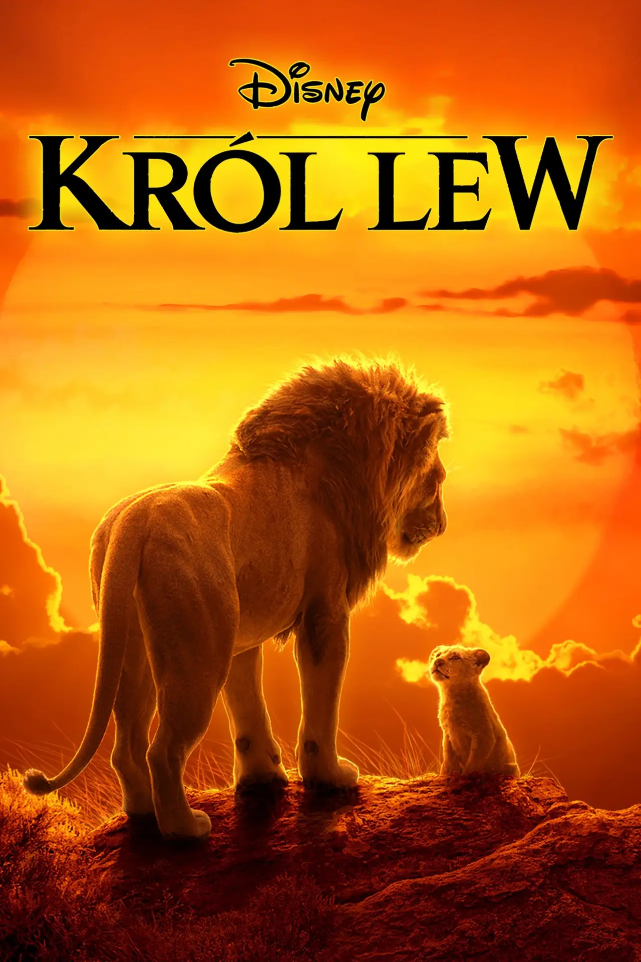 Plakat filmowy "Król Lew"