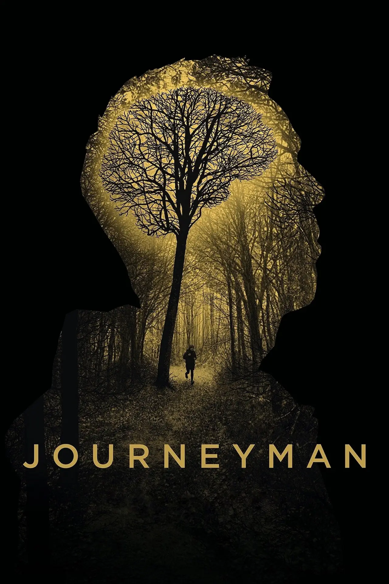 Plakat filmowy "Journeyman"