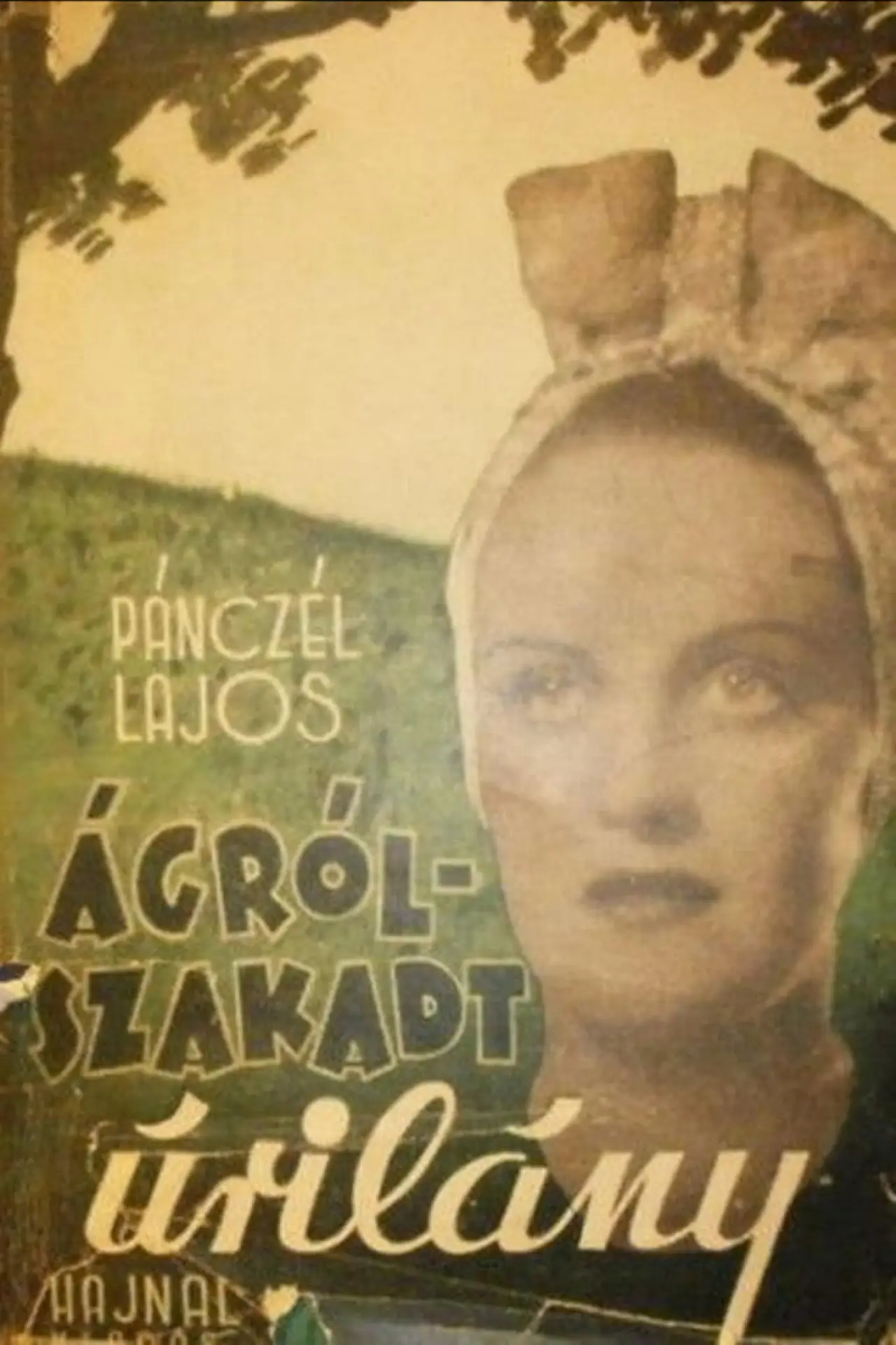 Plakat filmowy "Ágrólszakadt úrilány"