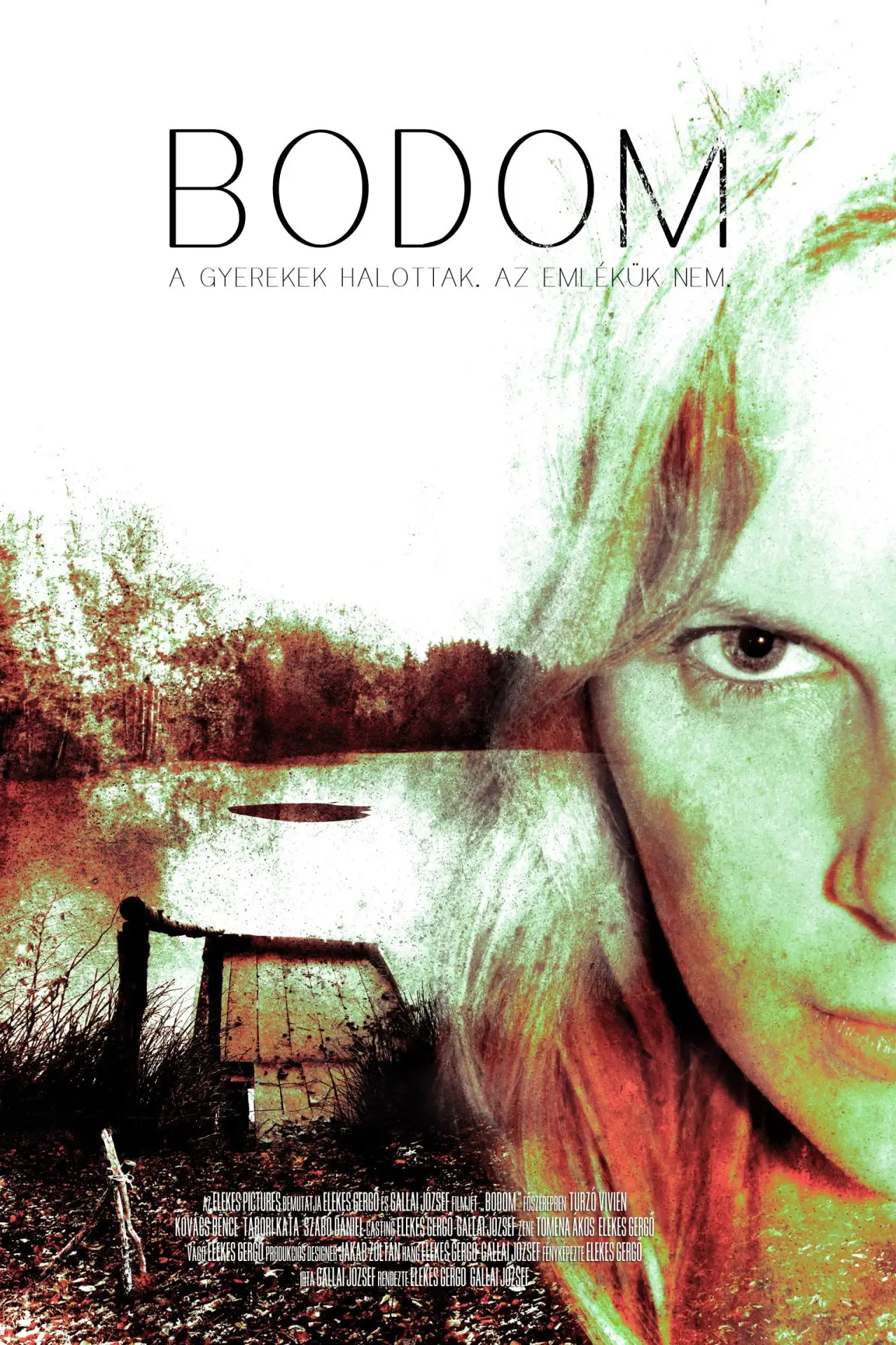 Plakat filmowy "Bodom"