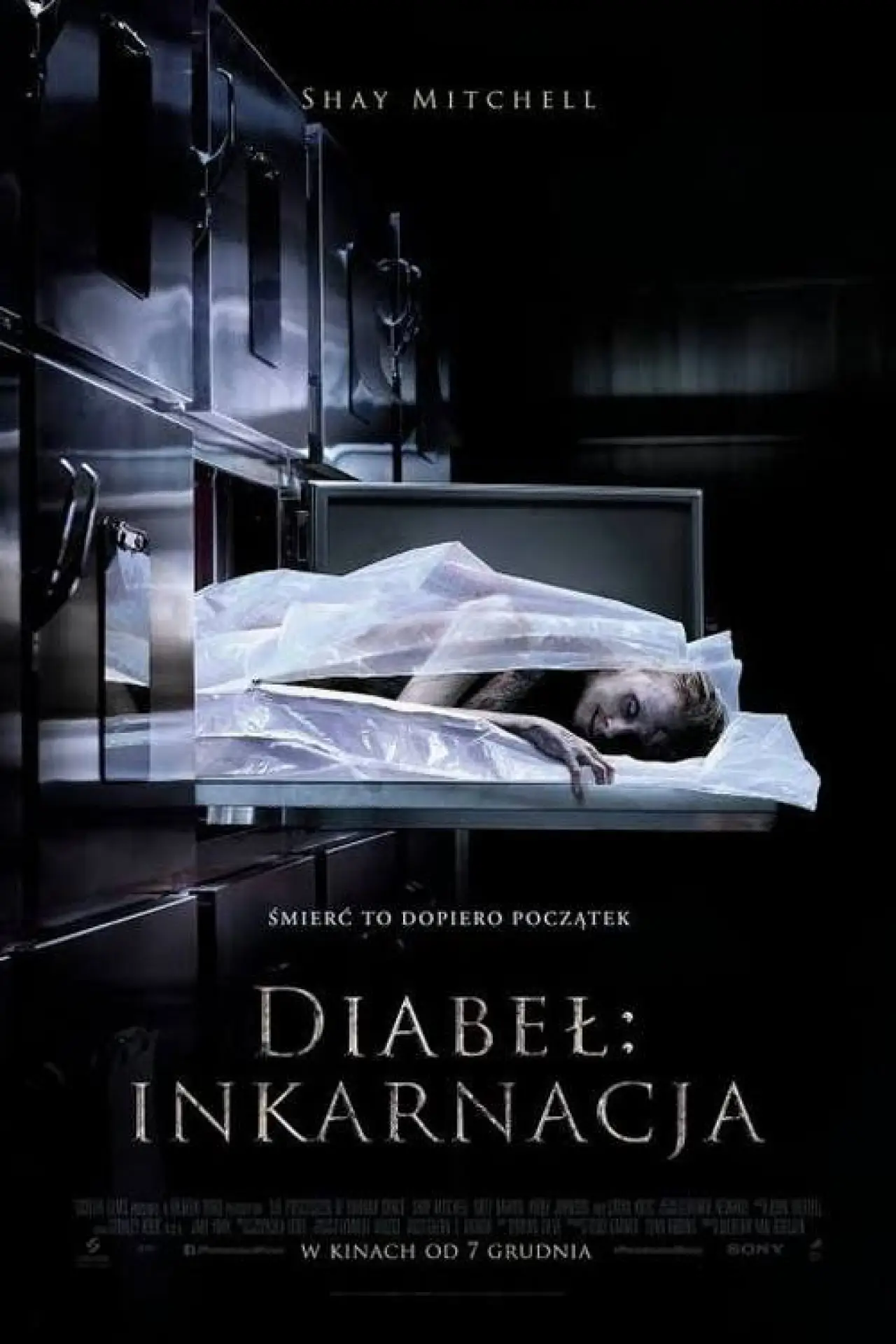Plakat filmowy "Diabeł: Inkarnacja"
