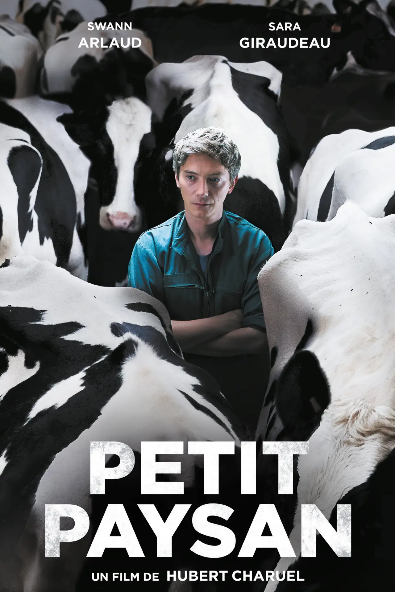 Plakat filmowy "Cierpkie mleko"